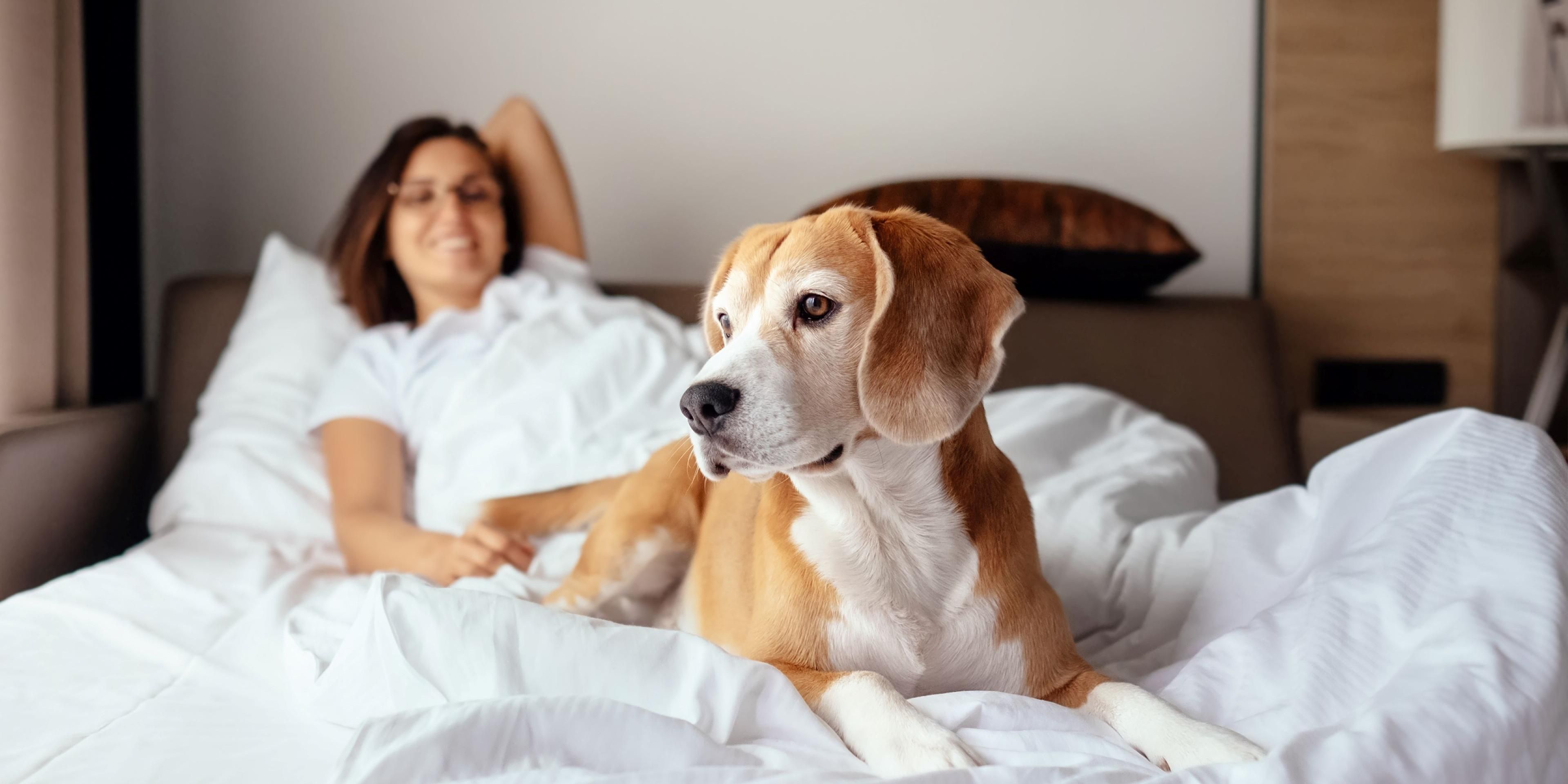 We believe pets are part of the family! Enjoy a warm welcome for your furry companions, with amenities designed to make their stay comfortable. Explore nearby parks and outdoor spaces together, and relax knowing your pet is welcome to join you on your travels. Experience a luxurious getaway where everyone feels at home.