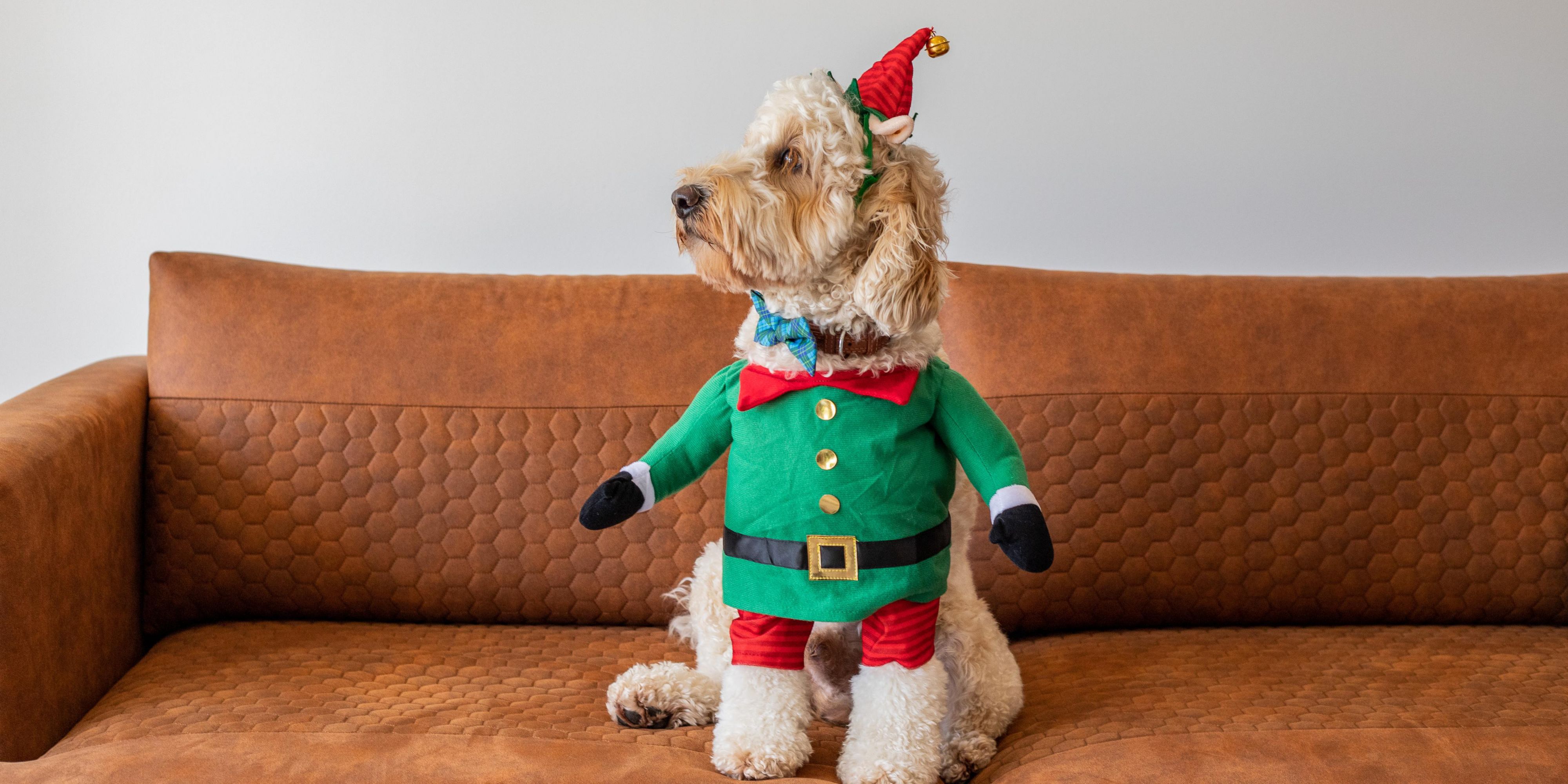 Porque sabemos que os animais de estimação fazem parte da família. Desfrute de uma recepção calorosa para seus companheiros de estimação, com comodidades desenhadas para tornar sua estadia confortável. Explorem juntos parques e espaços ao ar livre próximos e relaxem sabendo que seu animal de estimação é bem-vindo para acompanhá-lo em suas viagens.