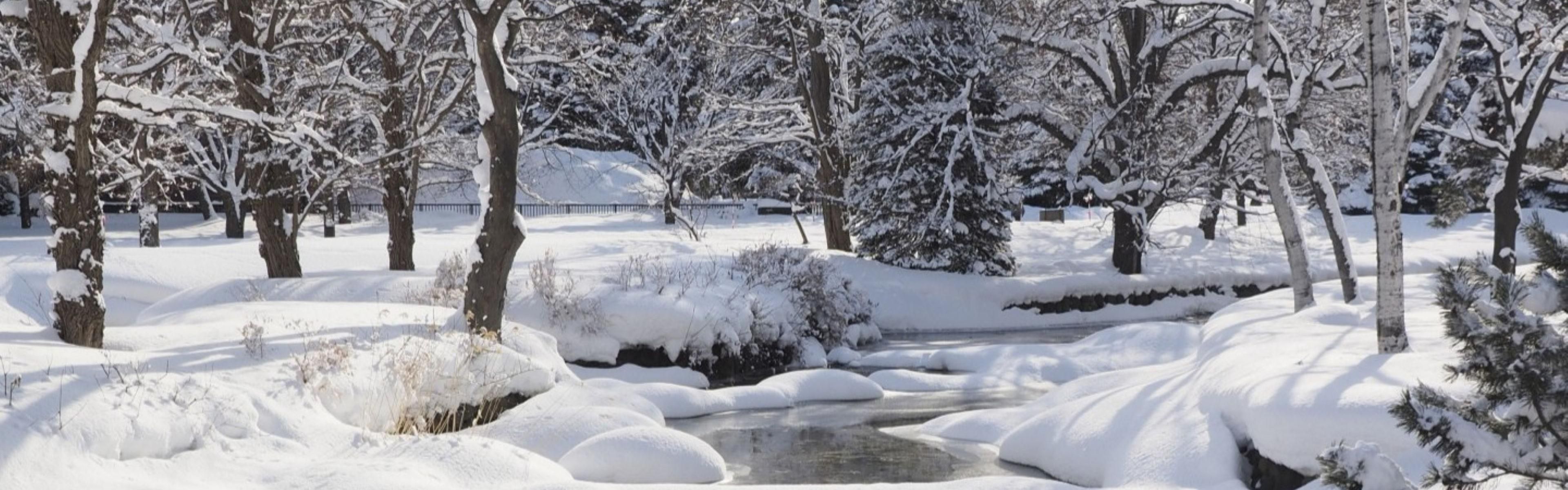 Nakajima Park on Winter