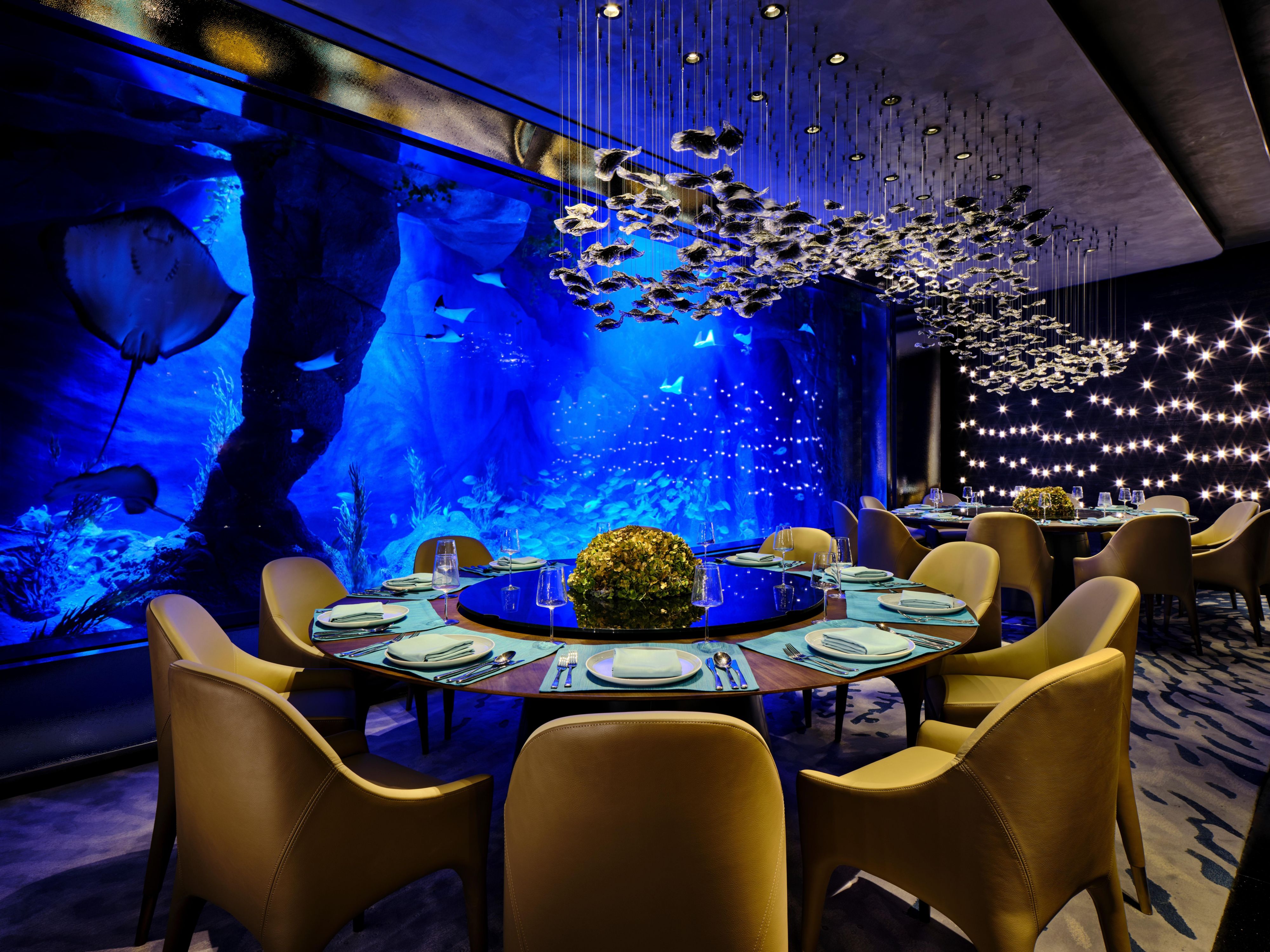 Mr.Fisher