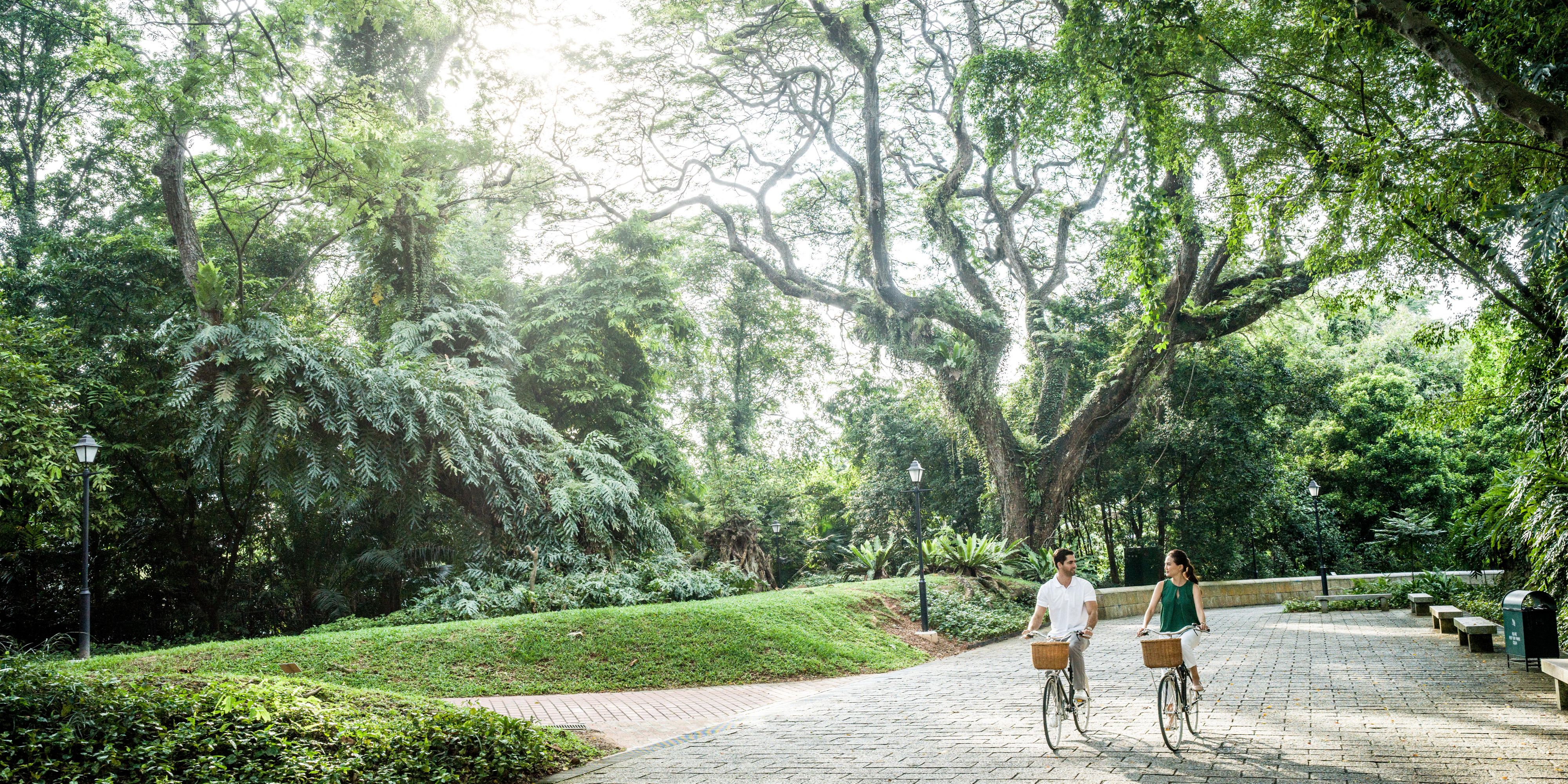 Designed in Tokyo and built for city living, Tokyo bikes are perfect for urban exploration and offered complimentary to hotel guests for exploration of the vibrant Robertson Quay precinct. Please approach our Concierge at level 1 for details.