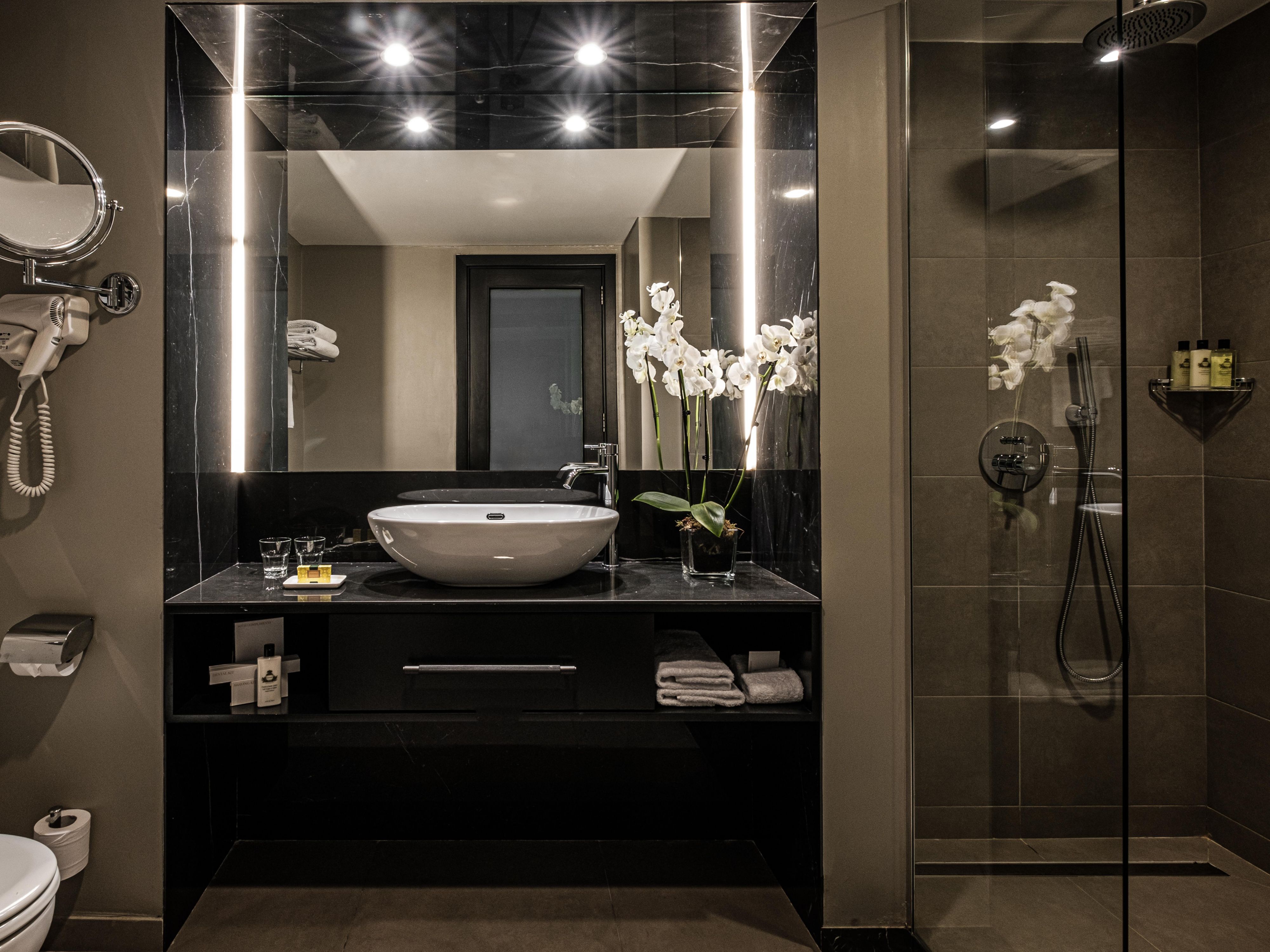 Sophisticated and Elegant Bathroom 
