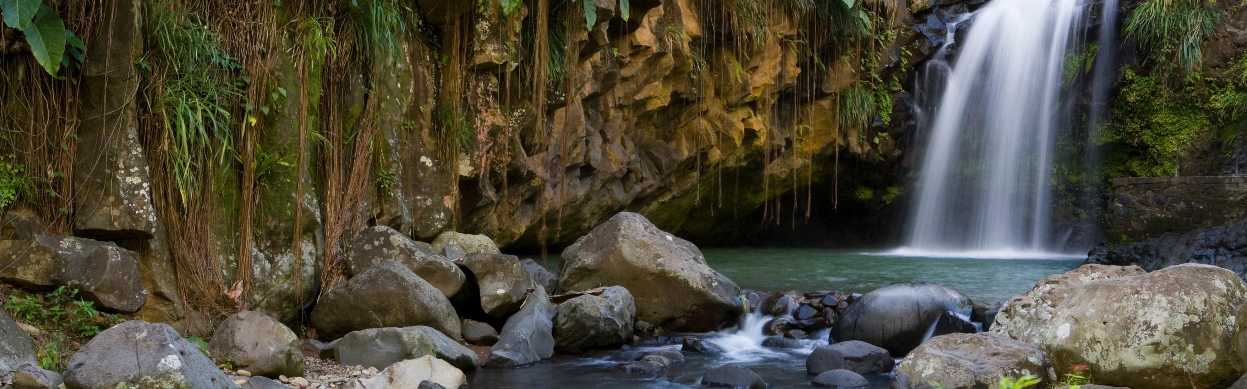 Annandale Falls cascading into a rocky pool in Grenada