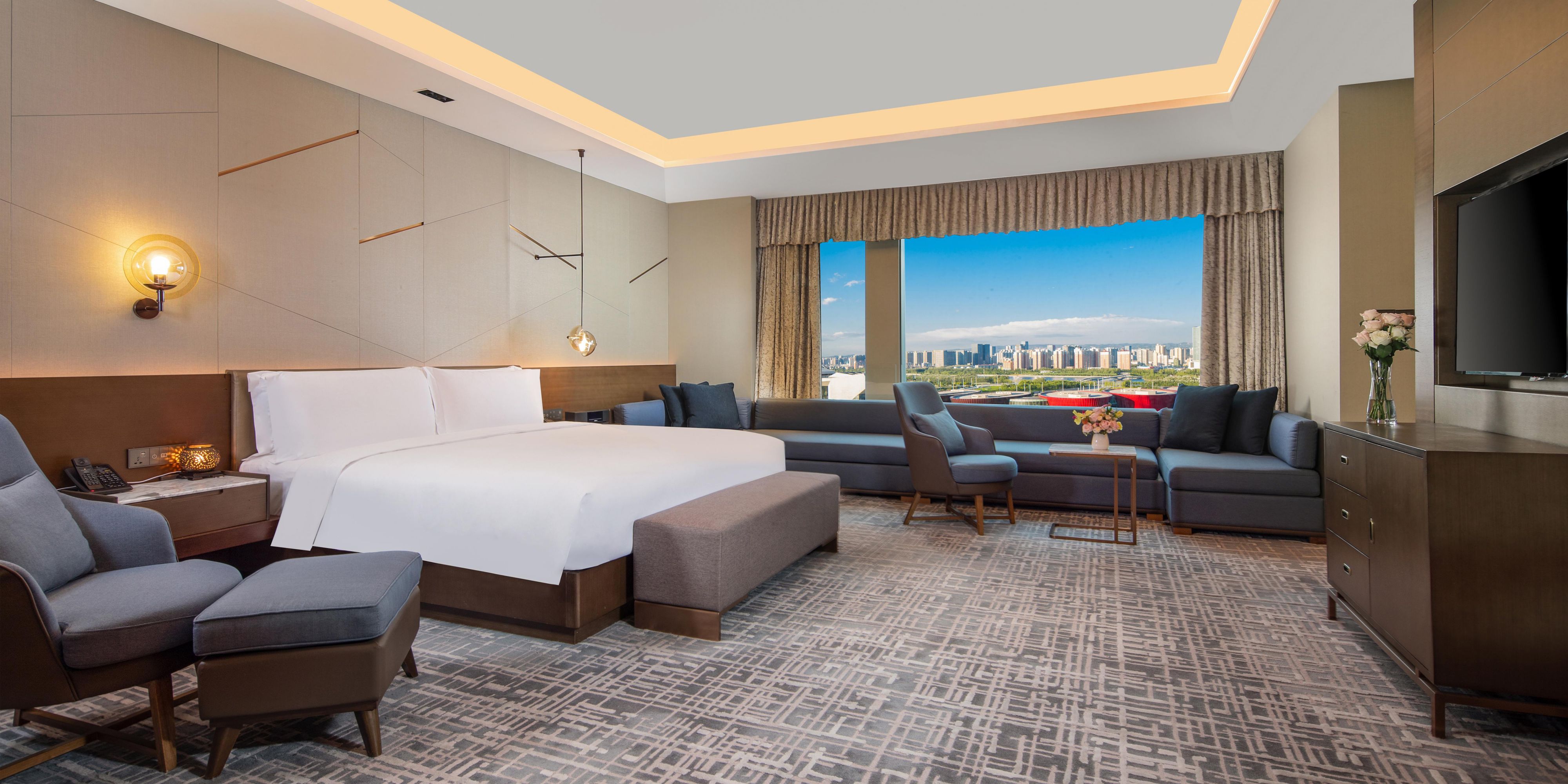 Suite Presidencial con1 cama tamaño King