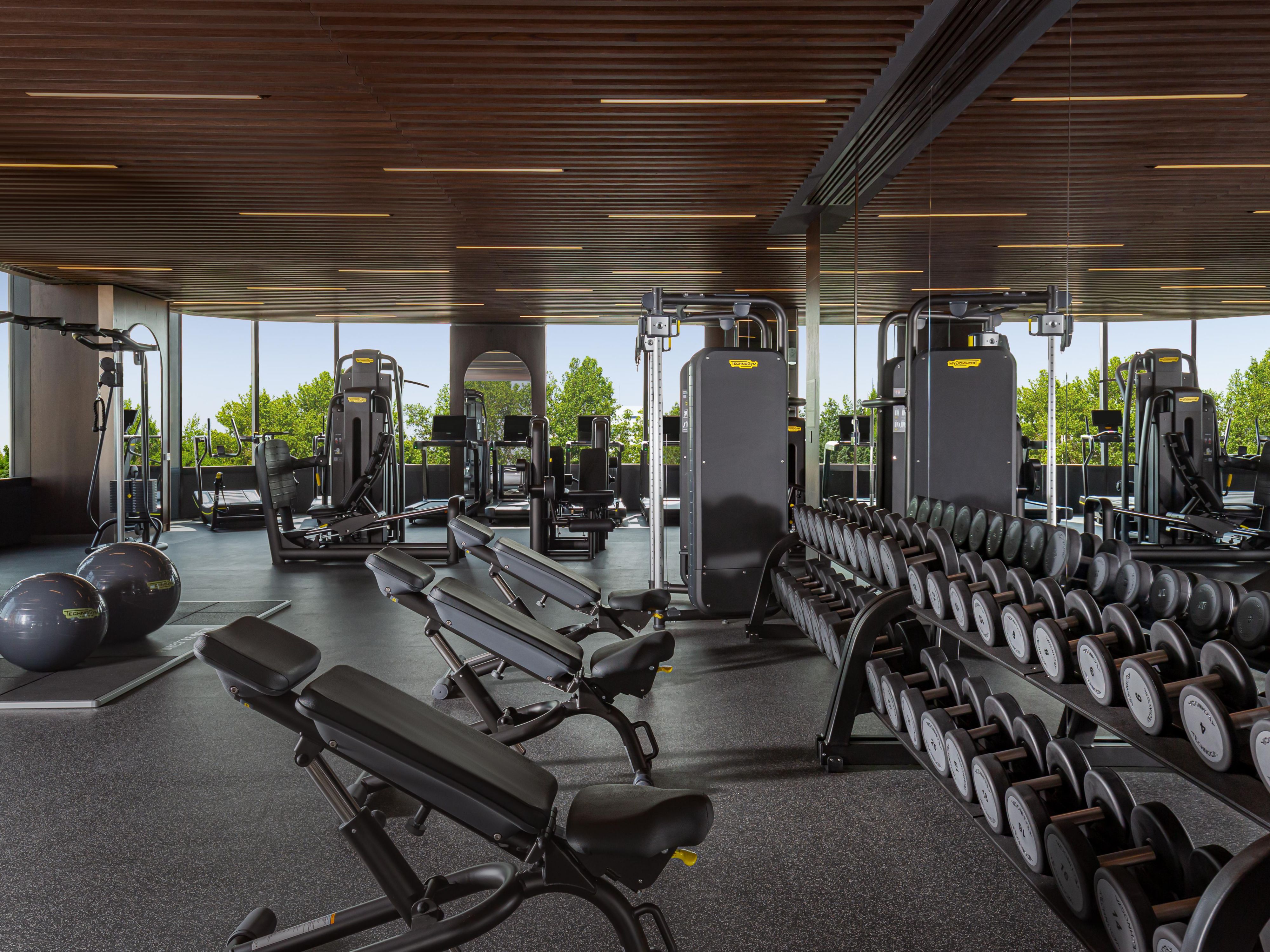 The gym with premium "Artis" line from TechnoGym (Italy).