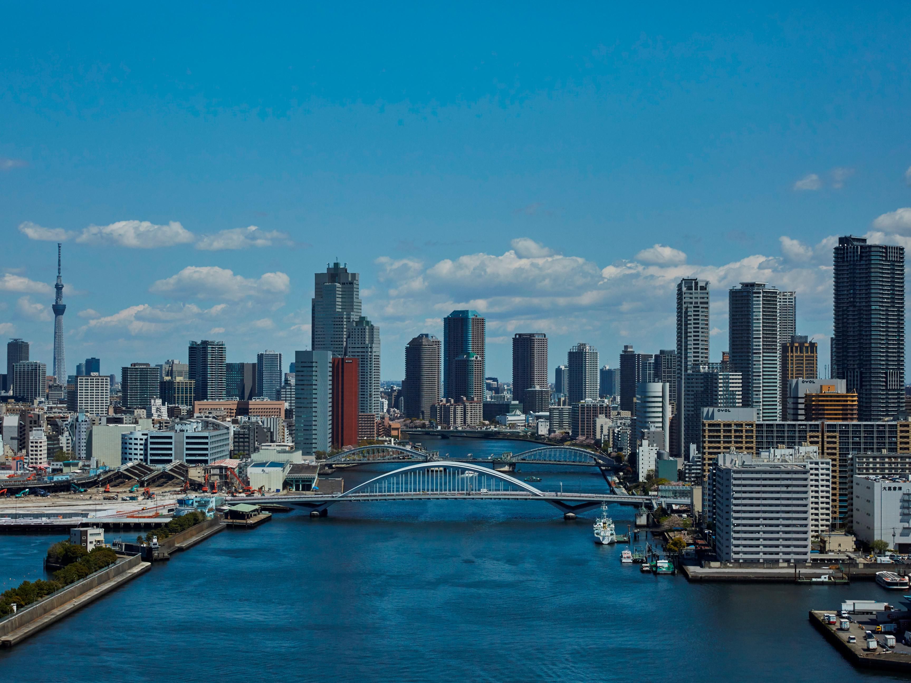 View from Hotel for the Sumida River