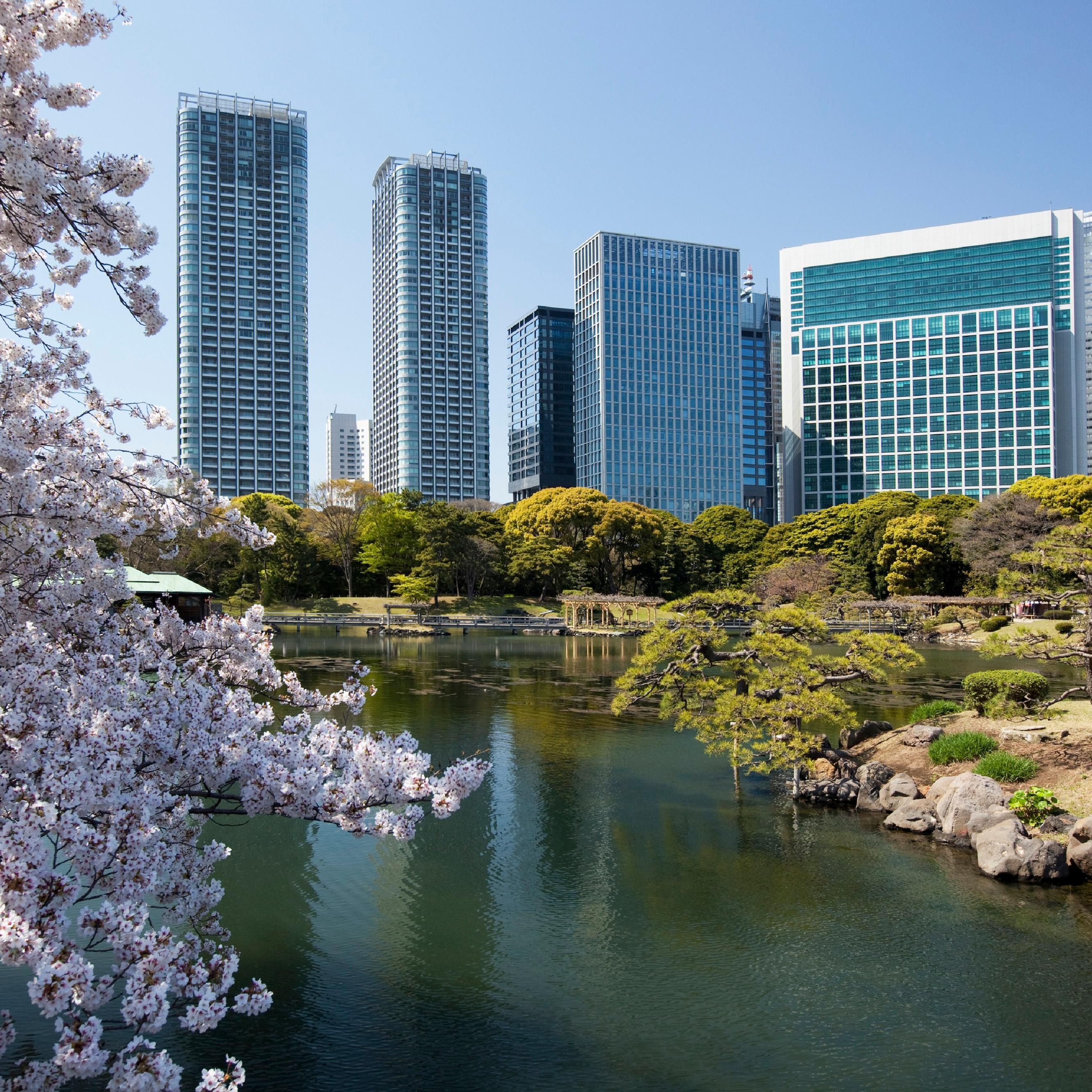 View of downtown Tokyo