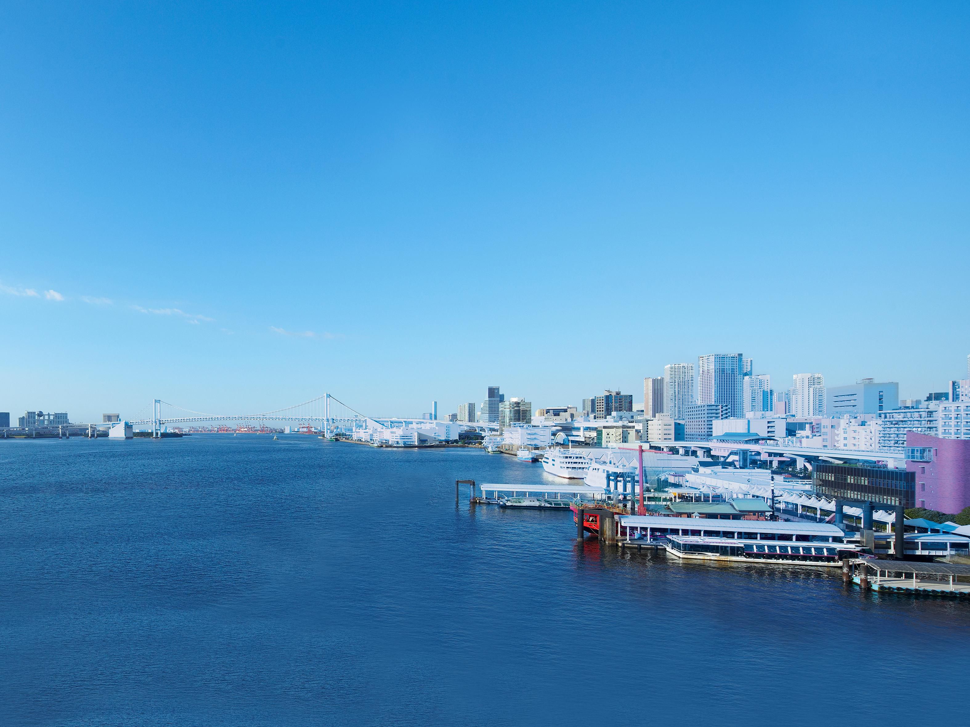 Local Attraction - Bayside View
