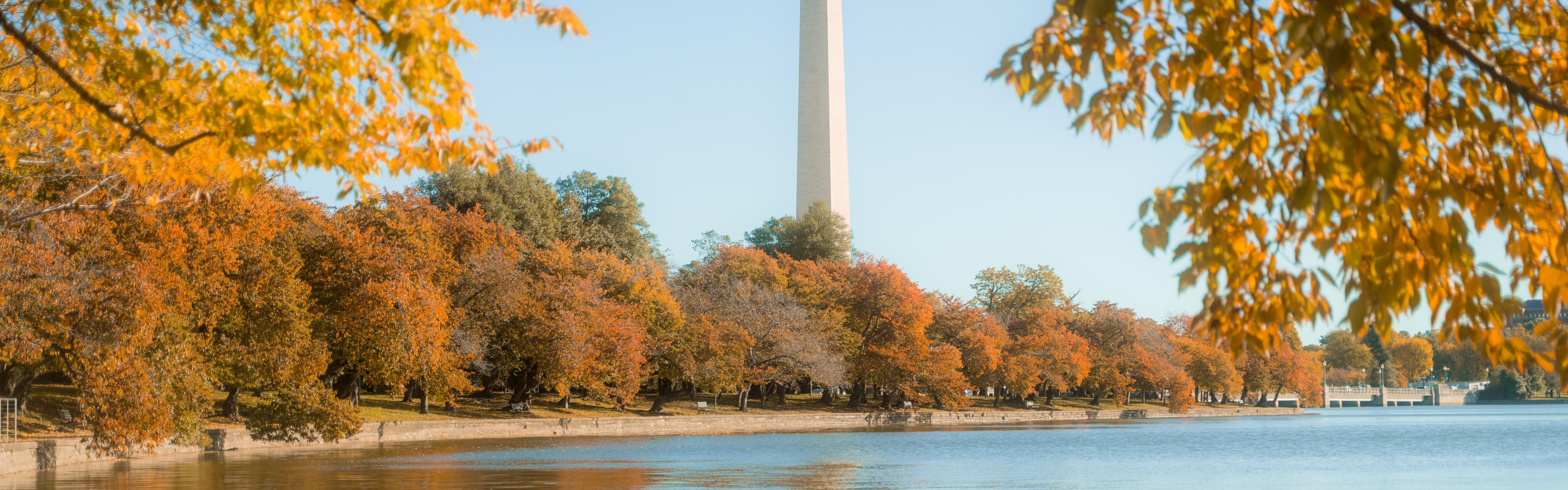 Enjoy the view of Washington Monument in Washington D.C.