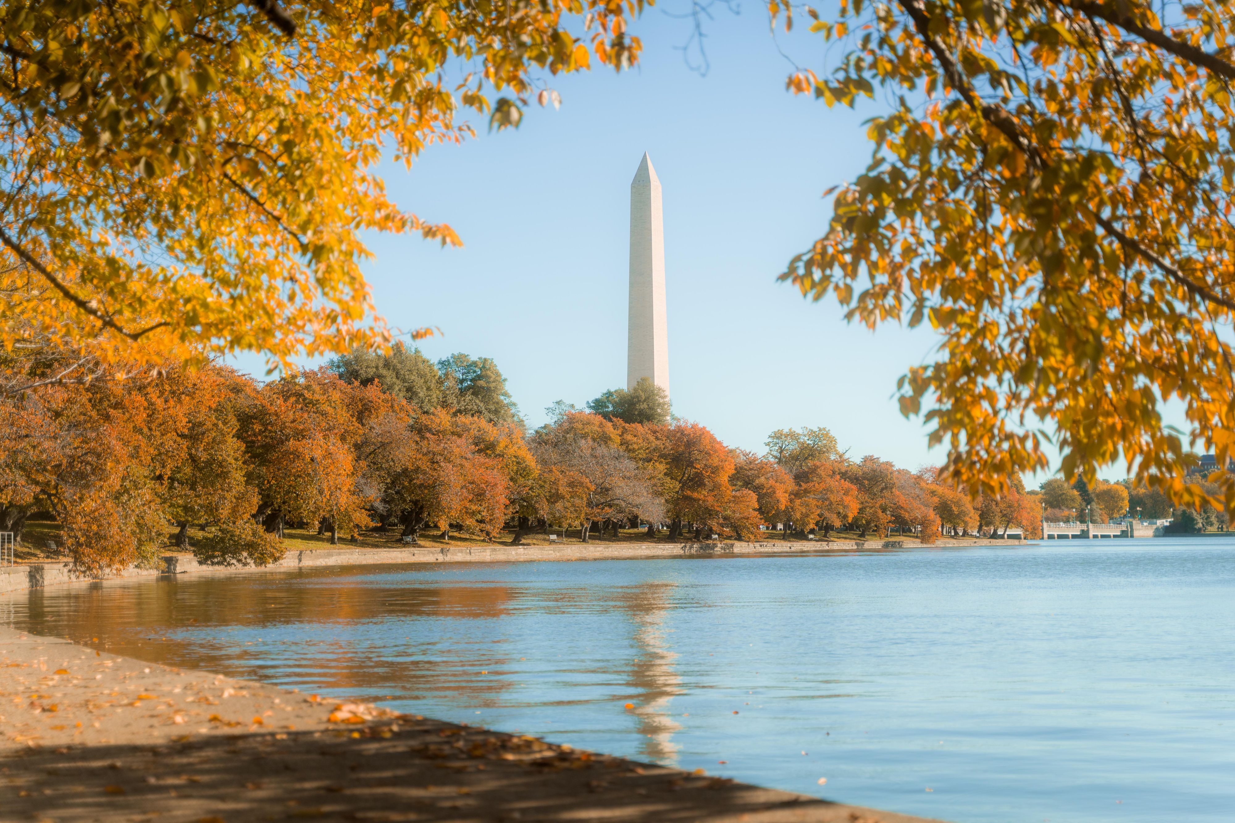 Views of Washington Monument during Fall