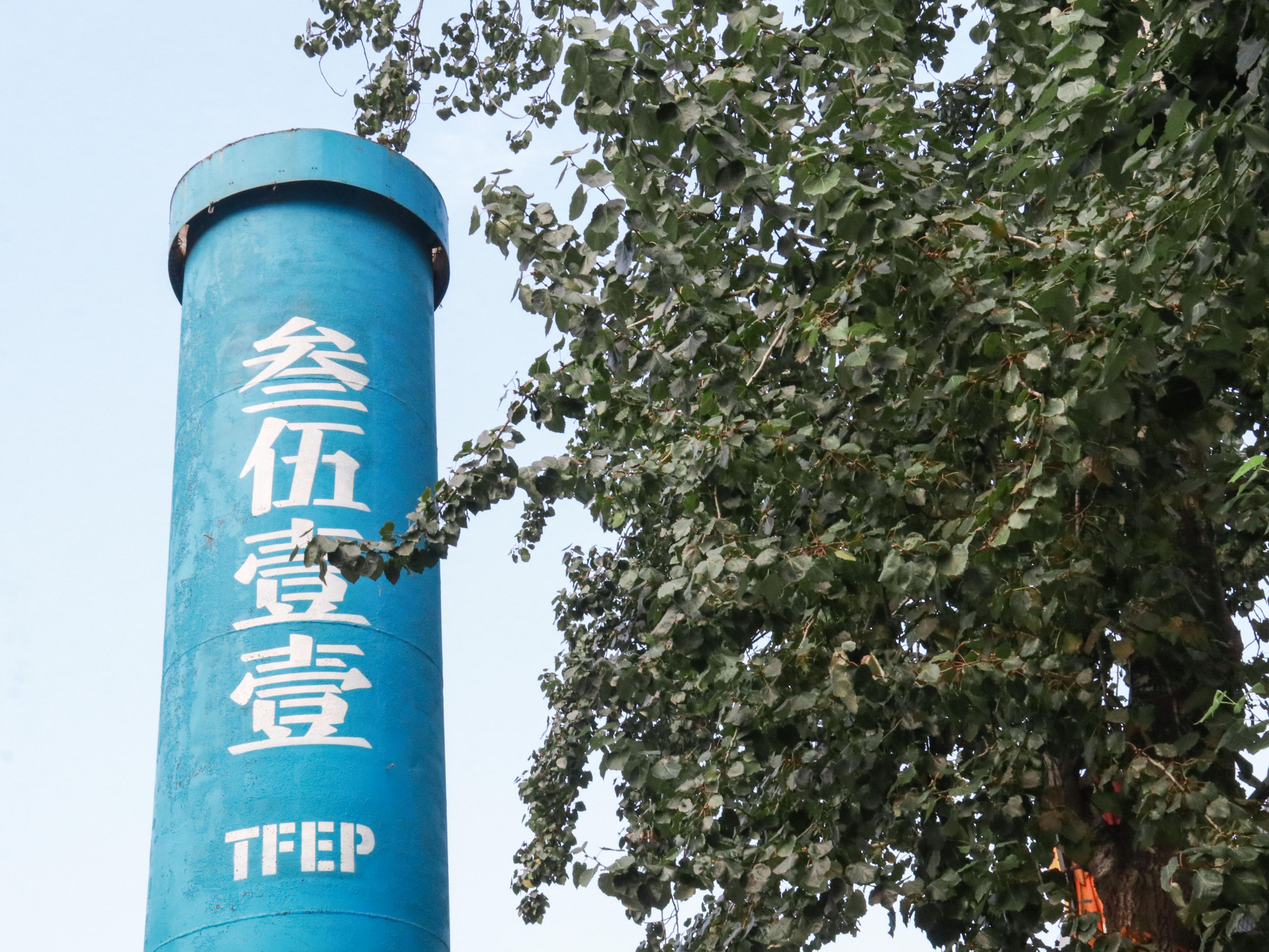 TFEP