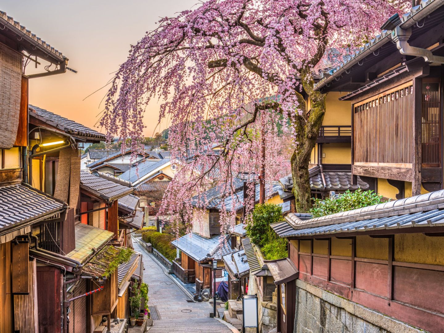 KYOTO, JAPAN