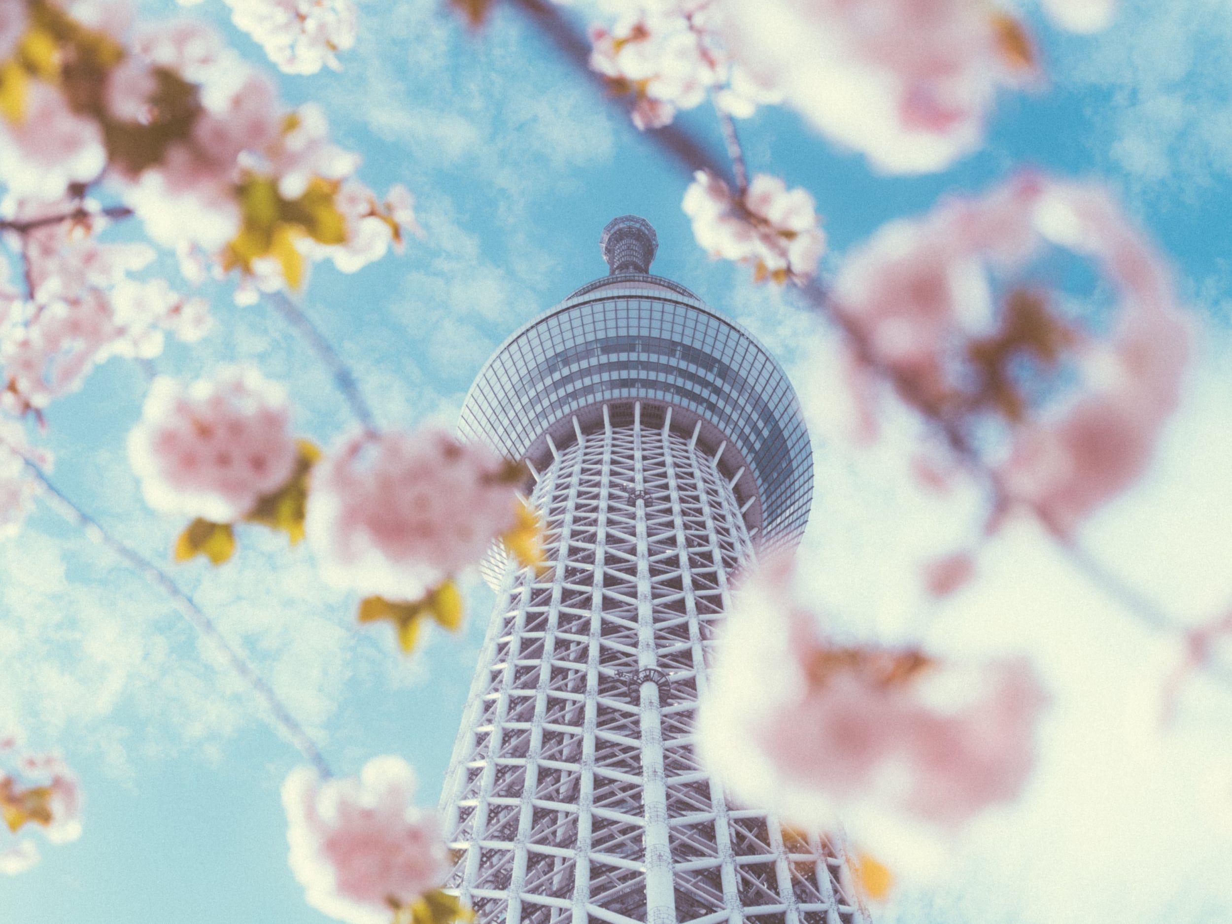 City in Summer
