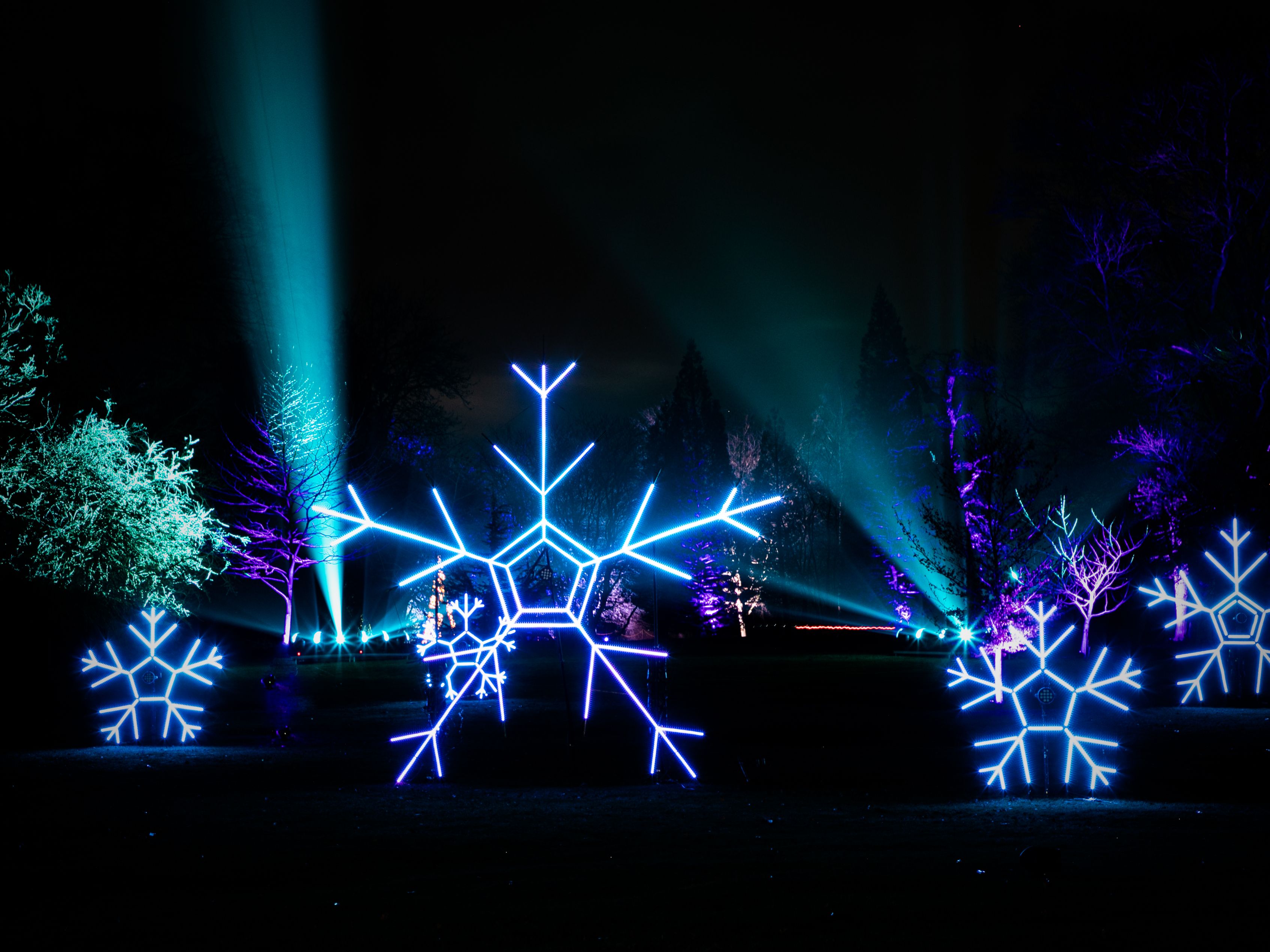 Christmas light display