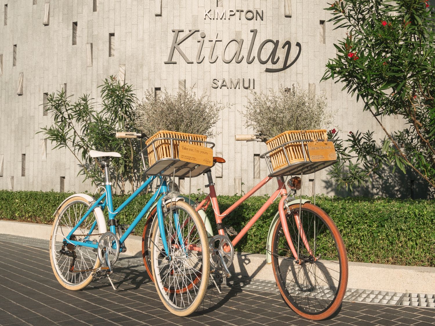 Two beach cruiser bicycles with baskets on the front in front of a hotel.