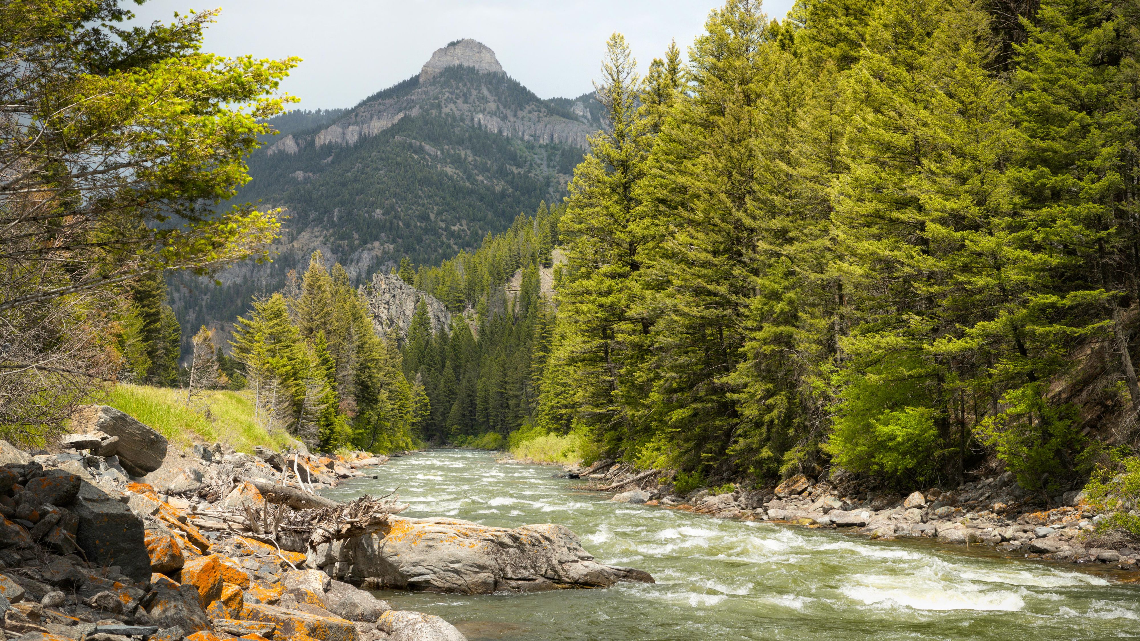 Bozeman Location Overview Kimpton Armory Hotel Bozeman Area Guide