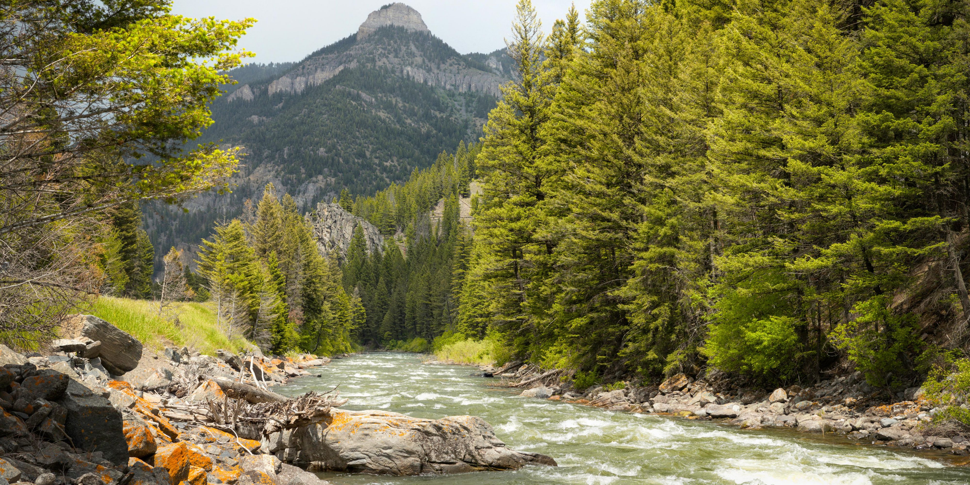 Kimpton Armory Hotel in Downtown Bozeman, MT Kimpton Hotels