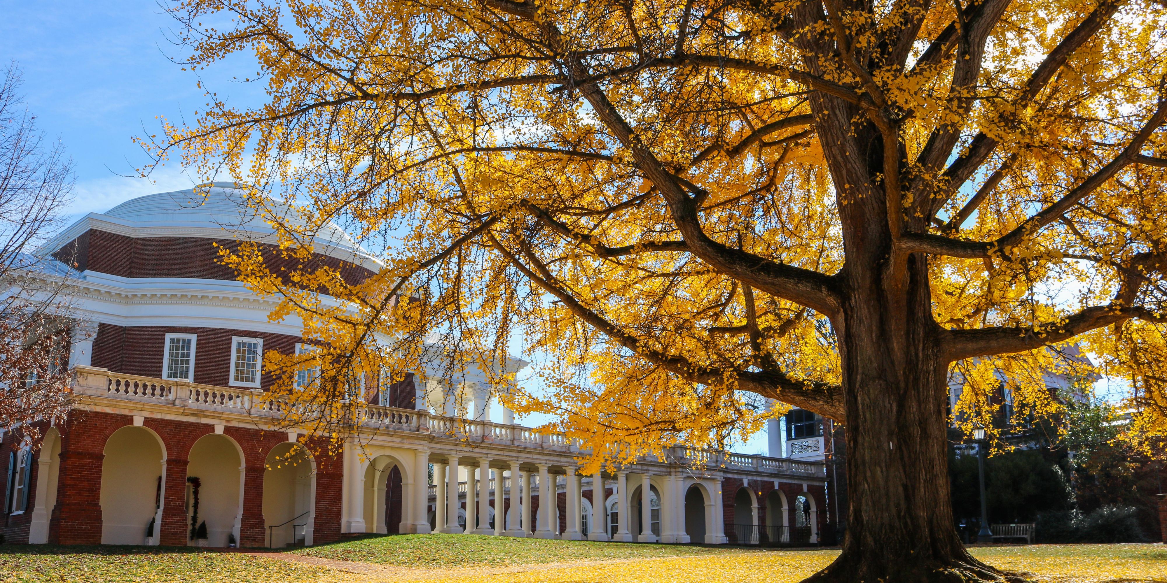 Created to encourage mindfulness, wellness and reflection with nature, the botanical gardens are five acres of lush greenery, featuring a collection of walking trails, a tranquil pond, an outdoor amphitheater, and event lawn. The arboretum extends to the Rivanna Trail, which connects North Grounds to the larger Charlottesville community.