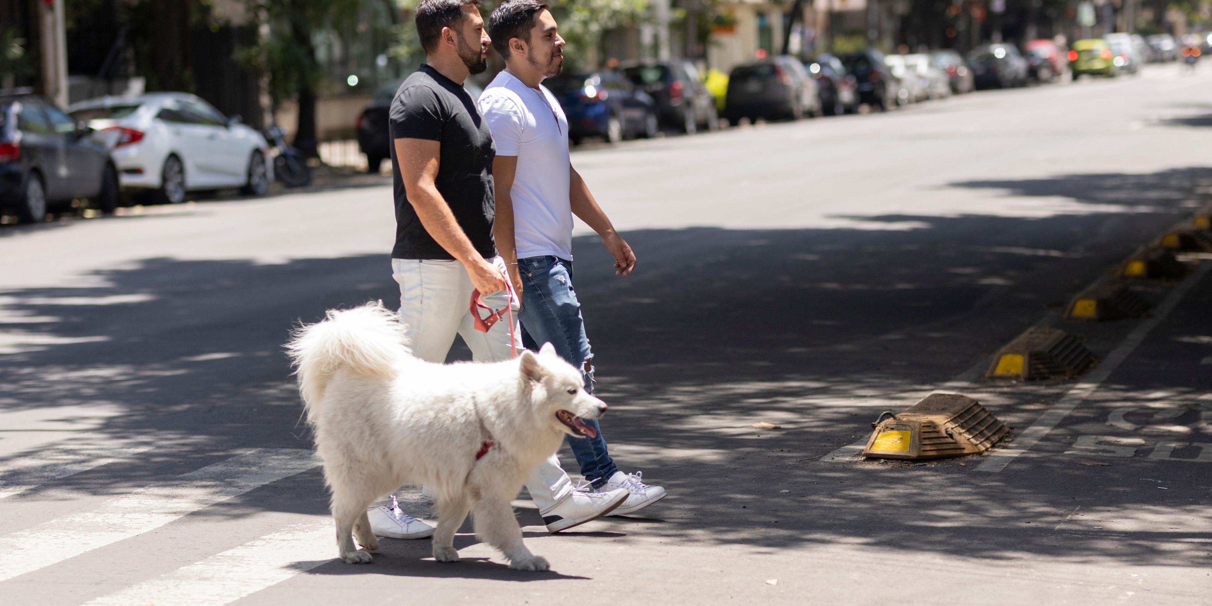 Kimpton Virgilio is offering a Family Package now through August 31, 2025, which includes stylish accommodations and daily breakfast, ideal for fueling up before a day of museum hopping or morning bike rides through Polanco. Even better? Furry family members are welcome too, with no pet fees and no weight restrictions.