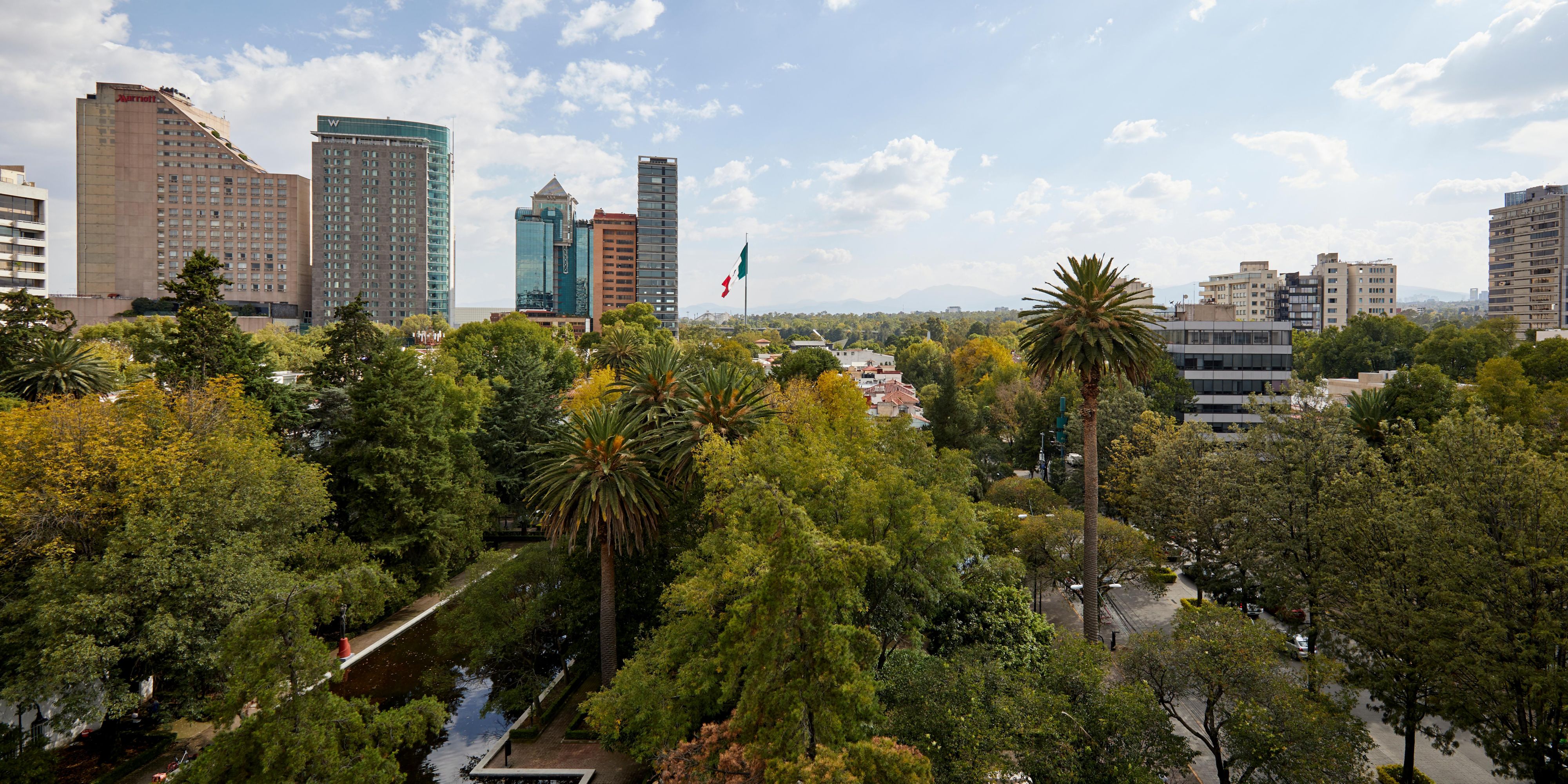 Lincoln Park, City view