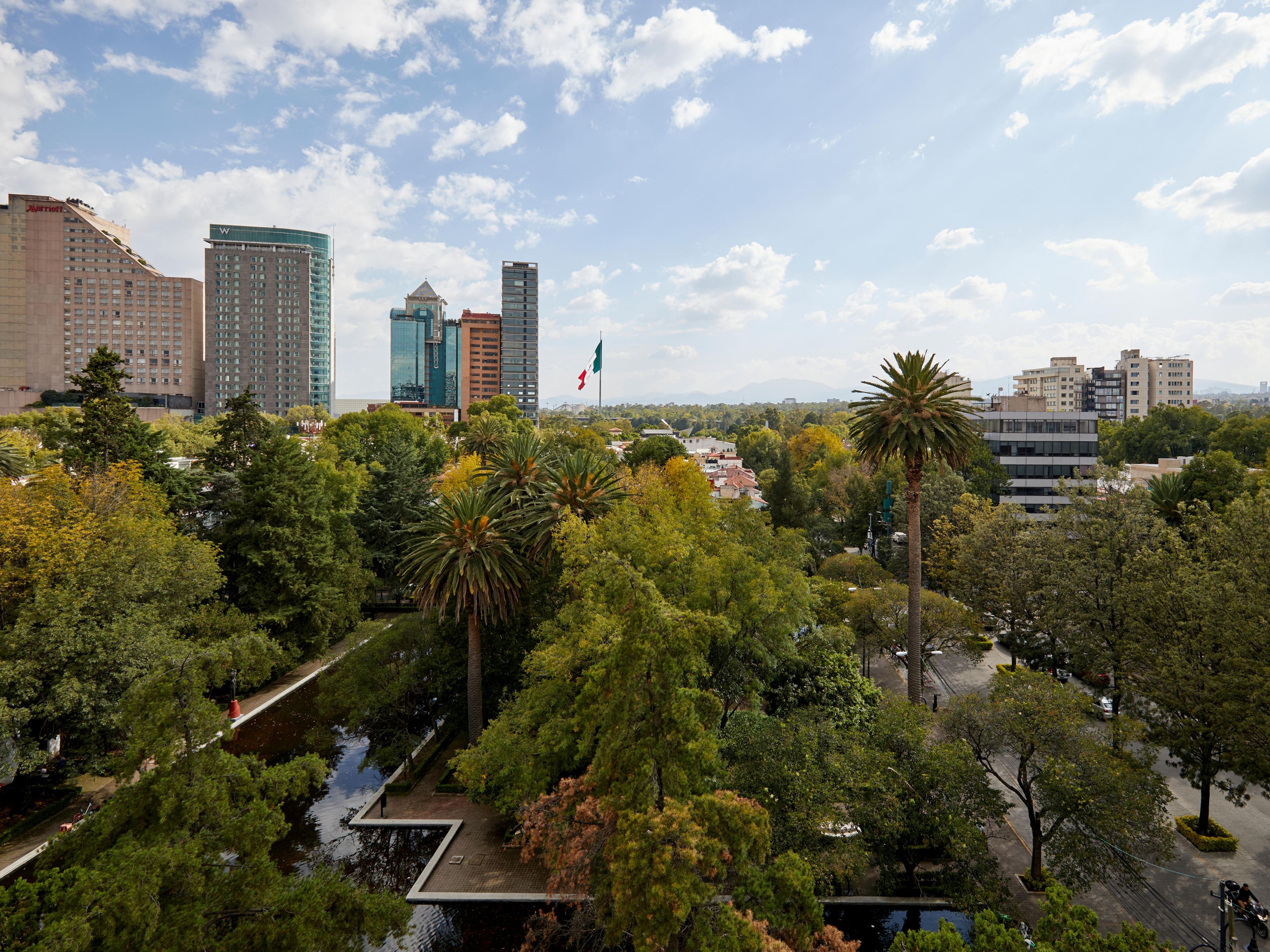 Urban views and green spaces from Kimpton El Castelar Polanco