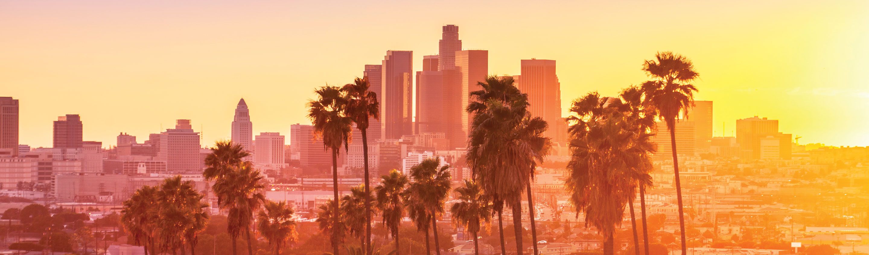 sunny golden hue over skyline of los angeles with palm trees
