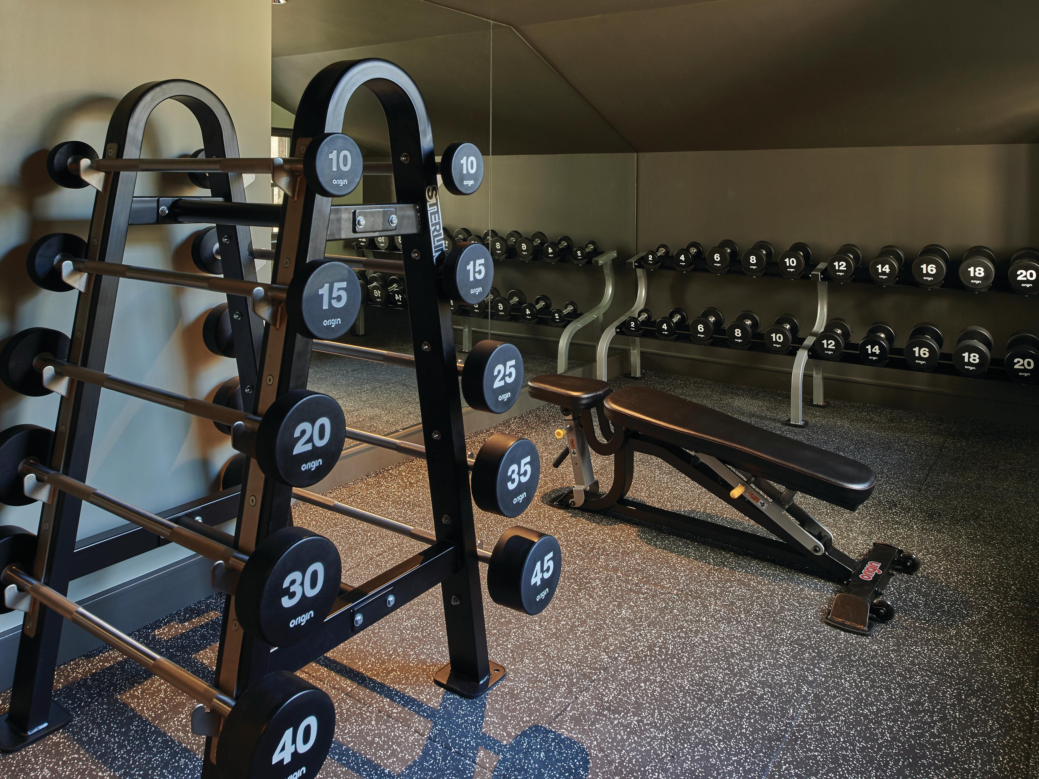 Weights and bench in a gym