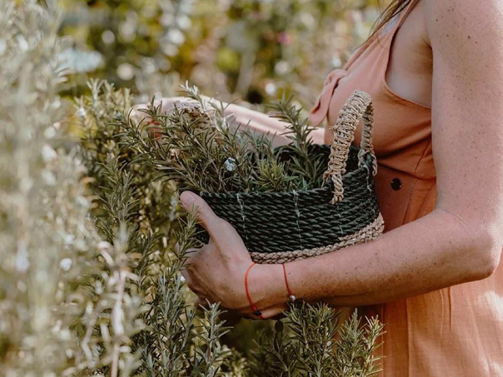 Woman holding basket with greenery in it.