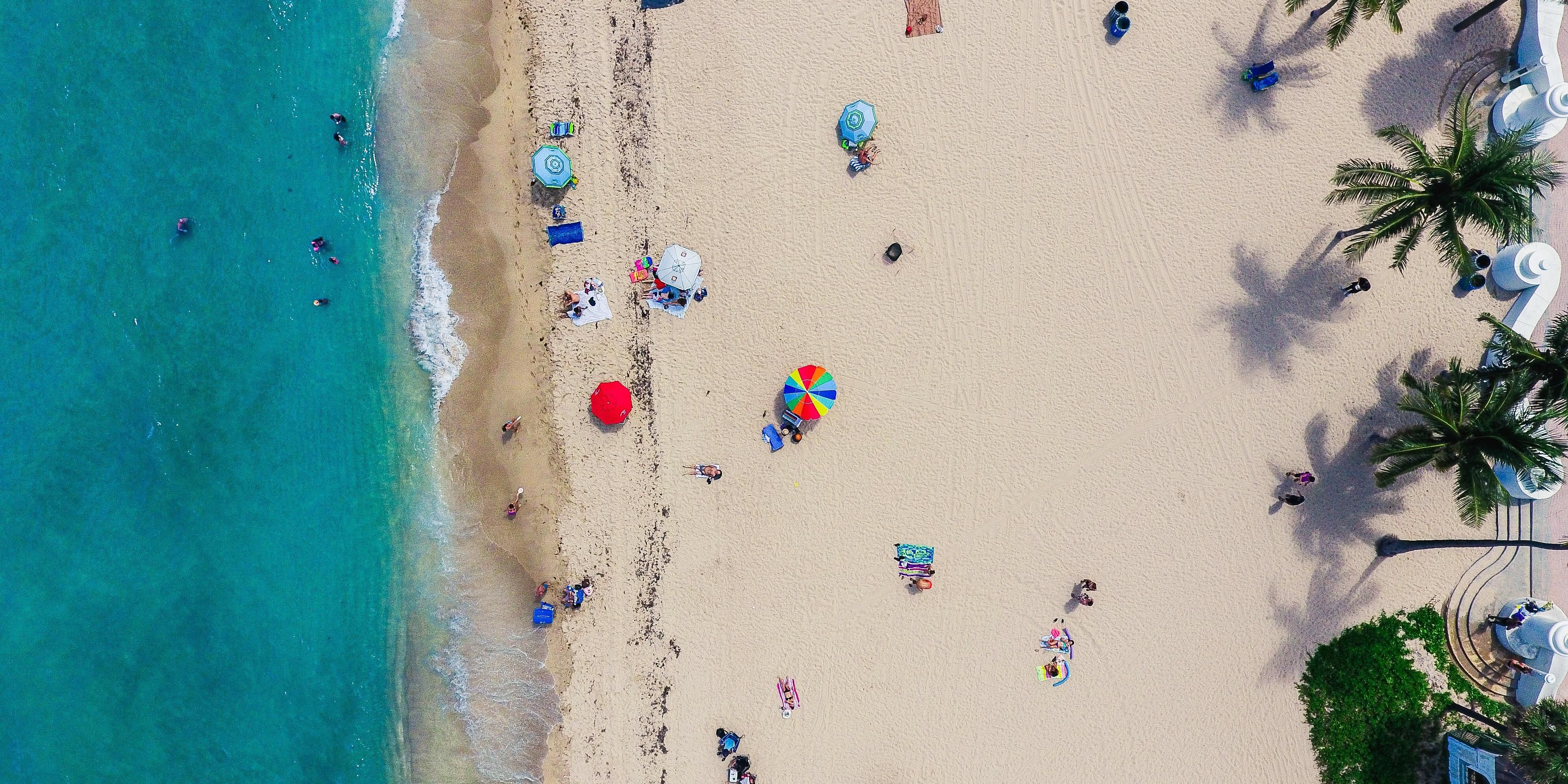 No Las Olas Beach Park, localizado nas proximidades, há sempre algo a acontecer, desde aulas de cardio, música ao vivo e feiras de produtos agrícolas. A área adjacente está repleta de lojas, cafés e restaurantes.