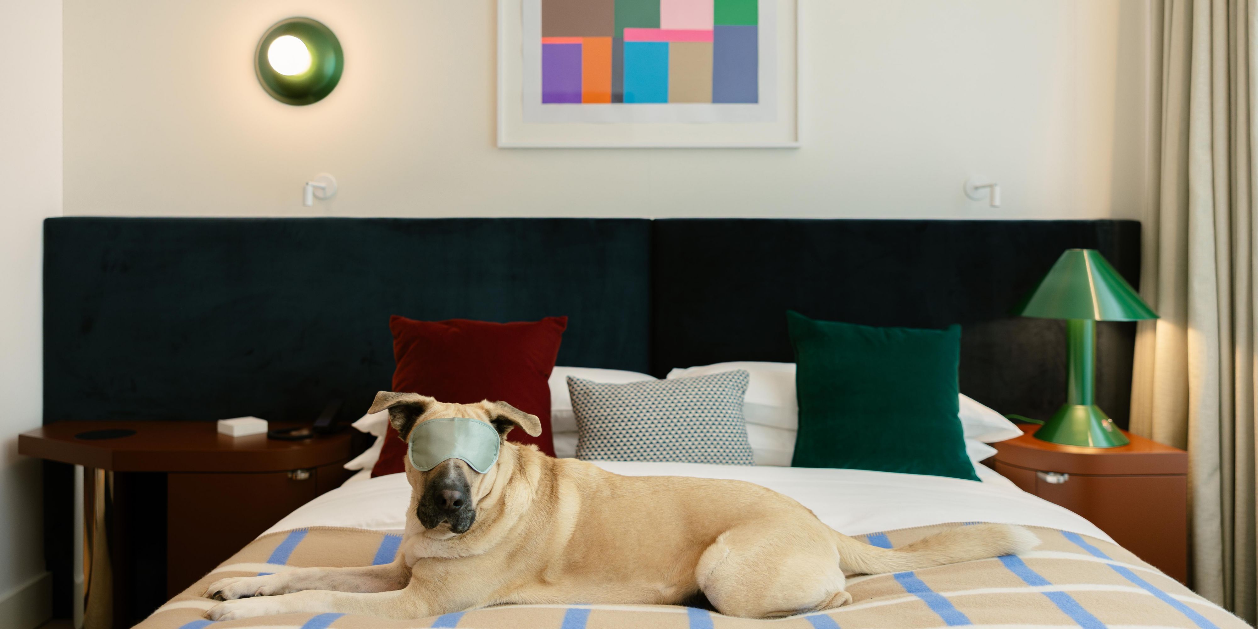 OK, we admit it. We have an animal attraction. Can you blame us? So bring along your furry, feathery or scaly family member — If your pet fits through the door, we’ll welcome them in. There’s more to our pet-friendly policy than just a no-fuss check-in and scratch behind the ear, though. We’ve got all the goodies you need to keep your pet pampered.
