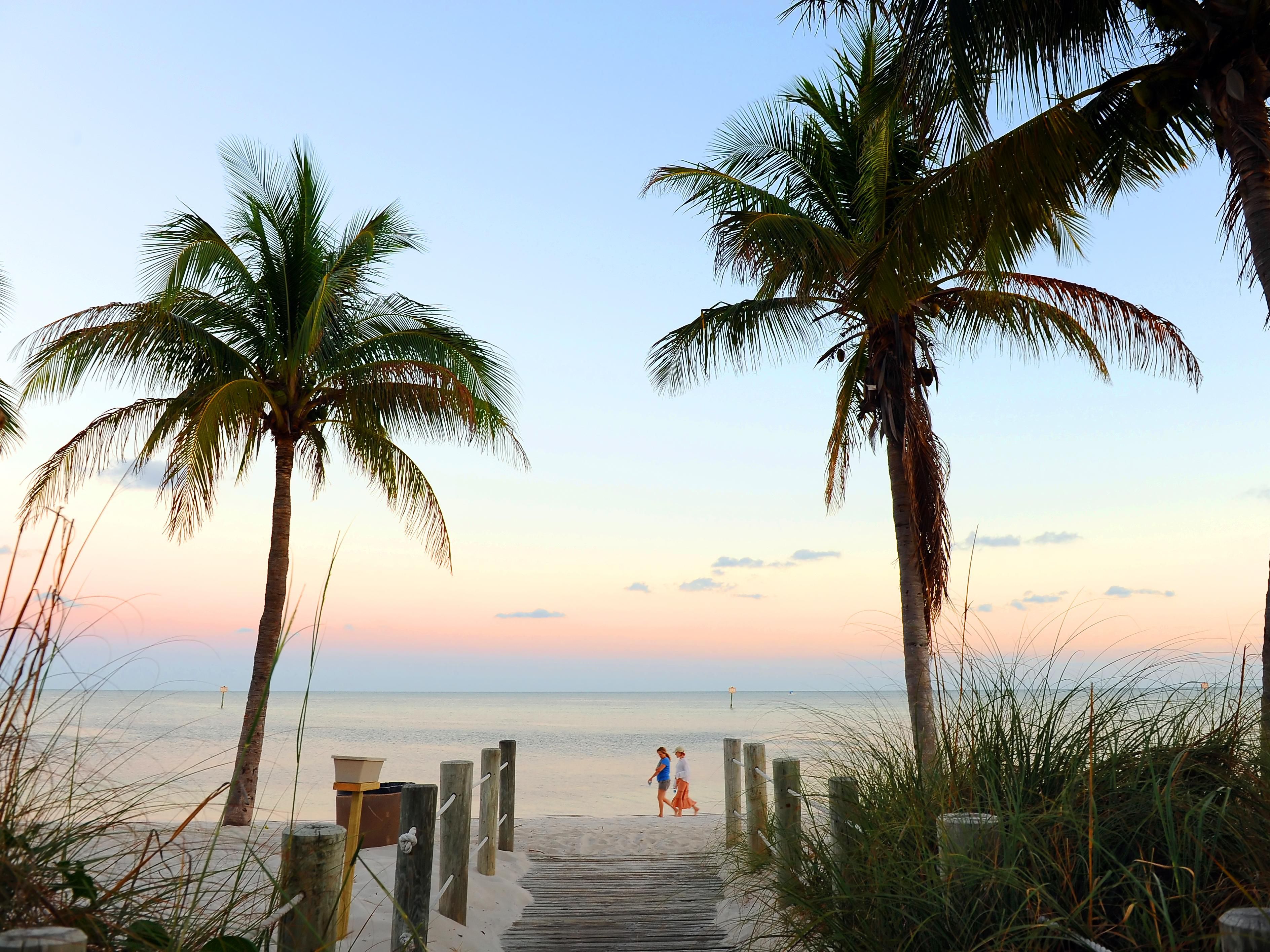 Beach vibes Tropical Scenery and Travel Bliss Volume 1 (Paperback)