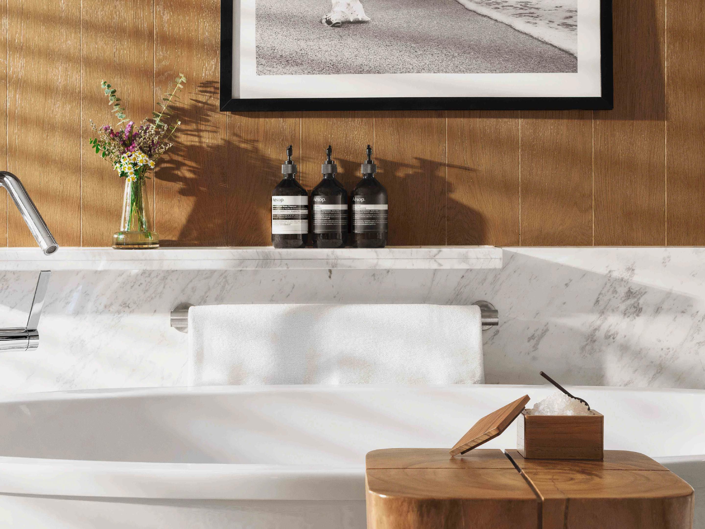 Premium Aesop bathroom amenities