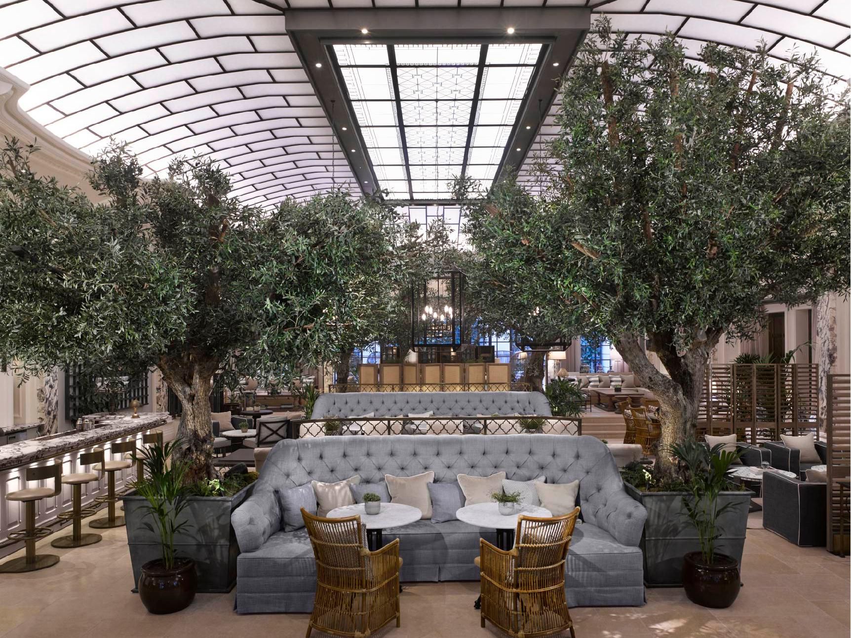 Towering trees bring a touch of lush greenery to our Palm Court