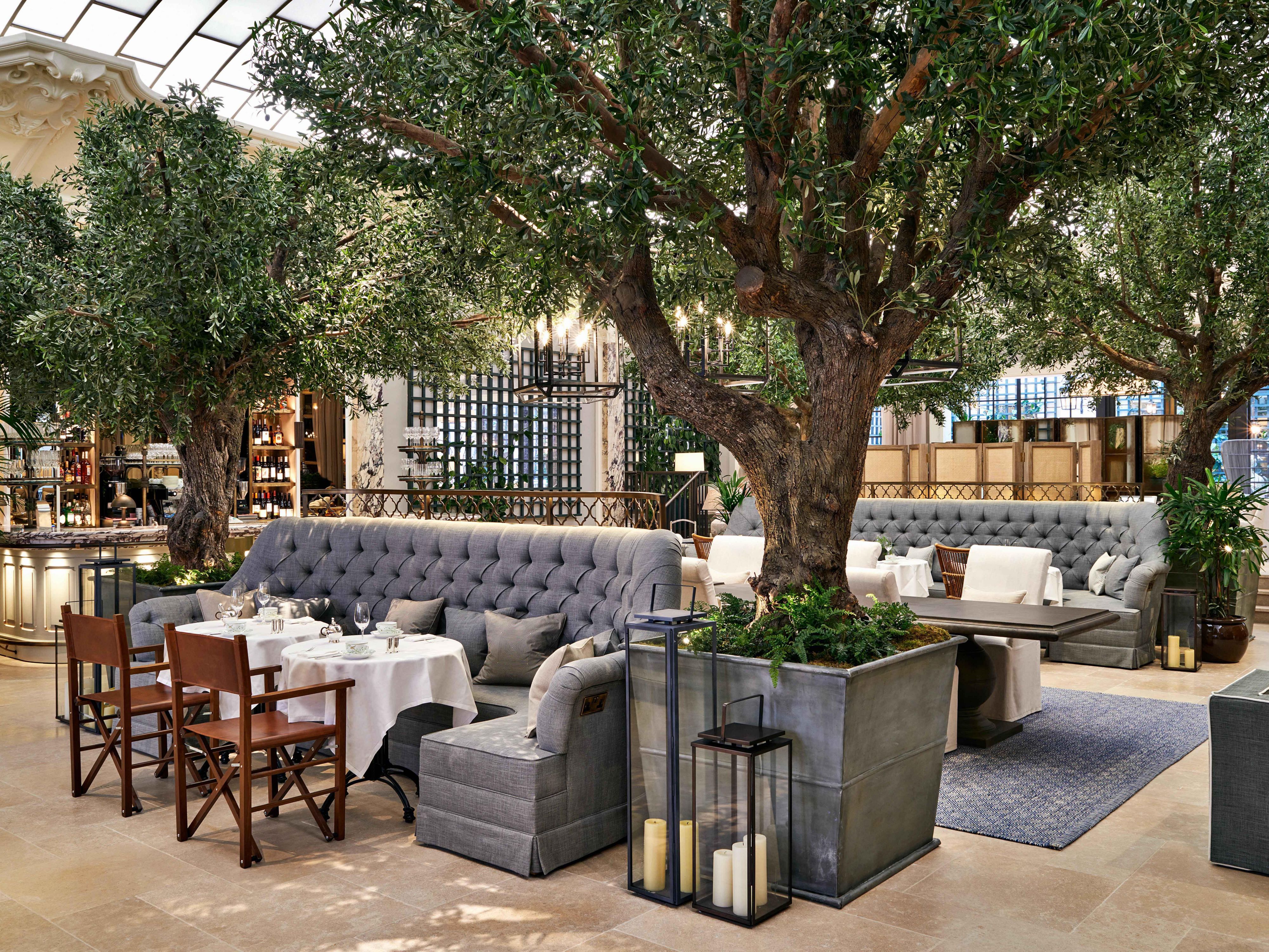 Palm Court restaurant with trees