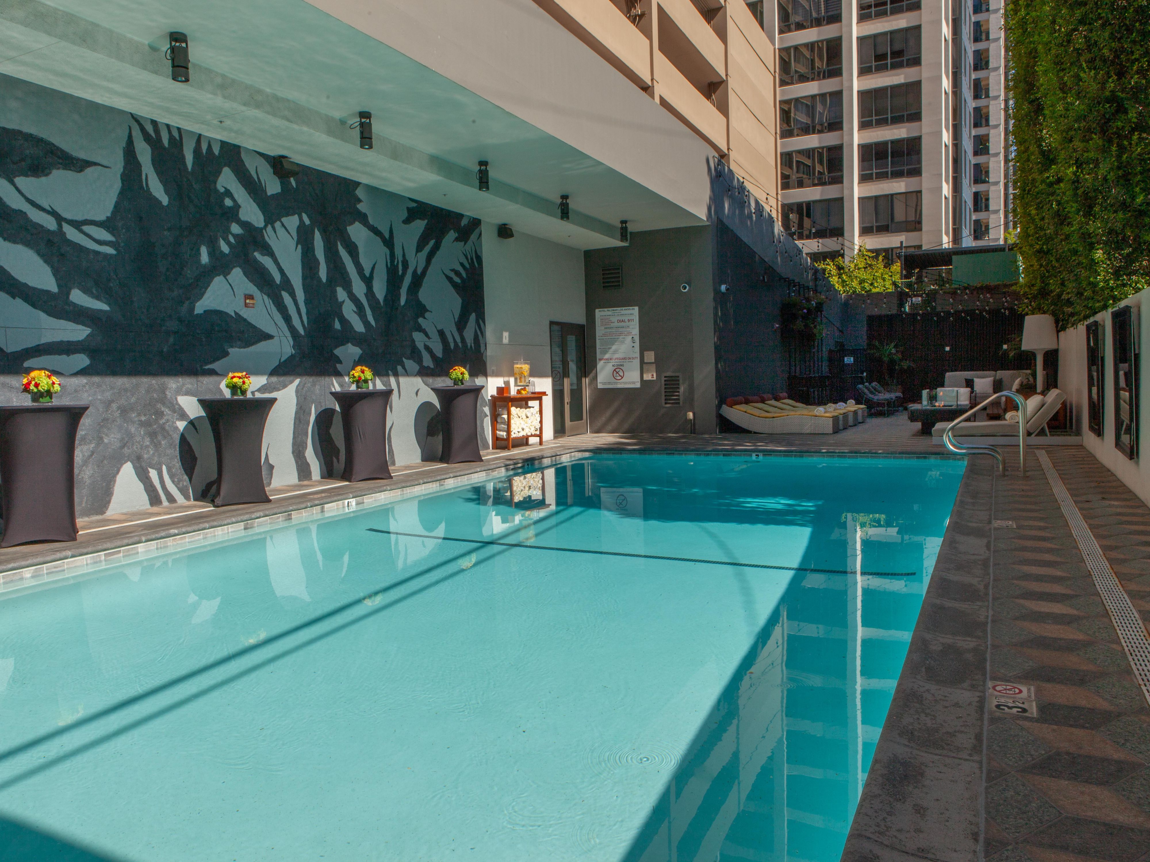 Hotel Palomar Beverly Hills hotel pool photo