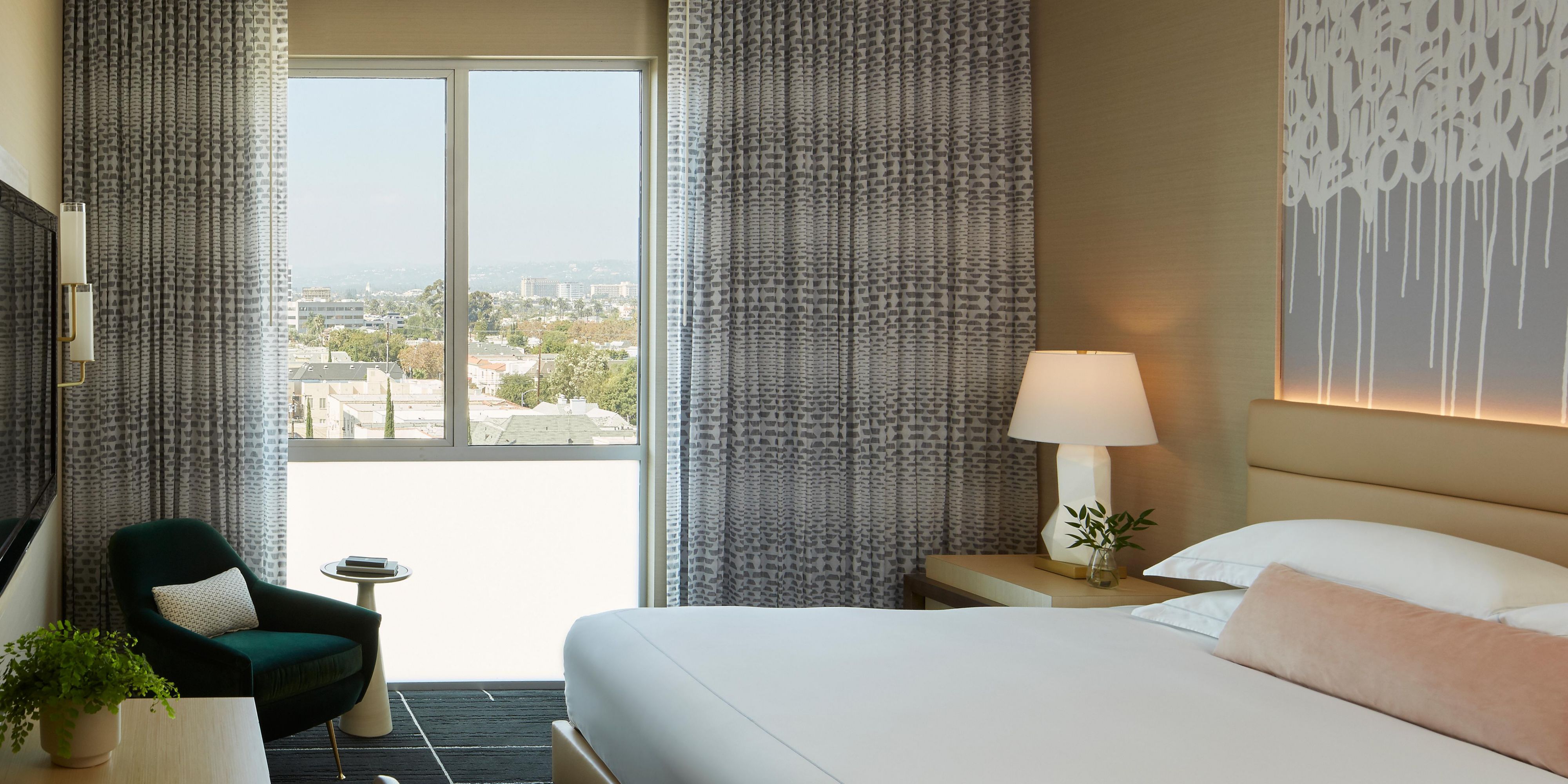 Hollywood Hills View