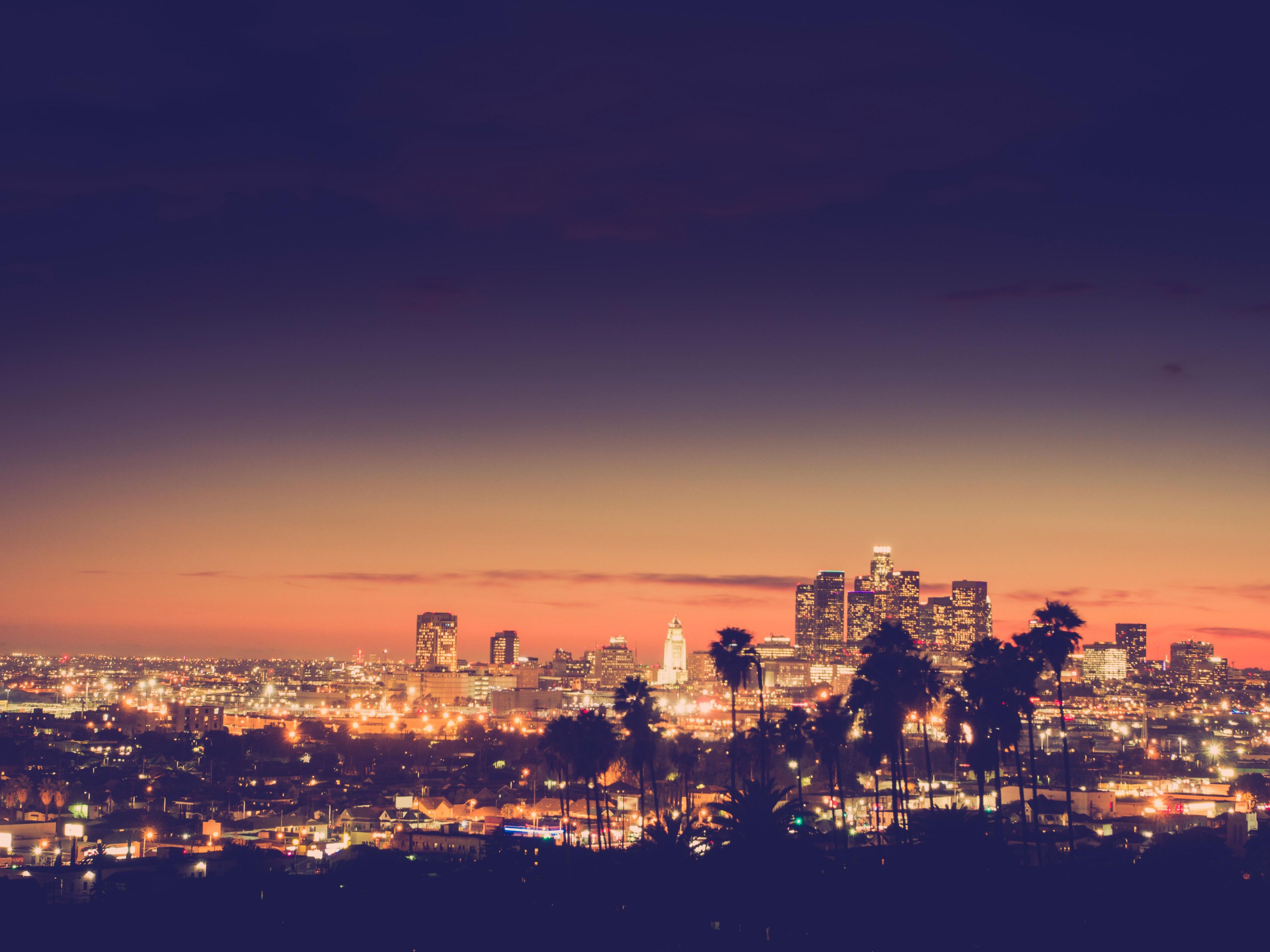 Los Angeles Skyline at Night 