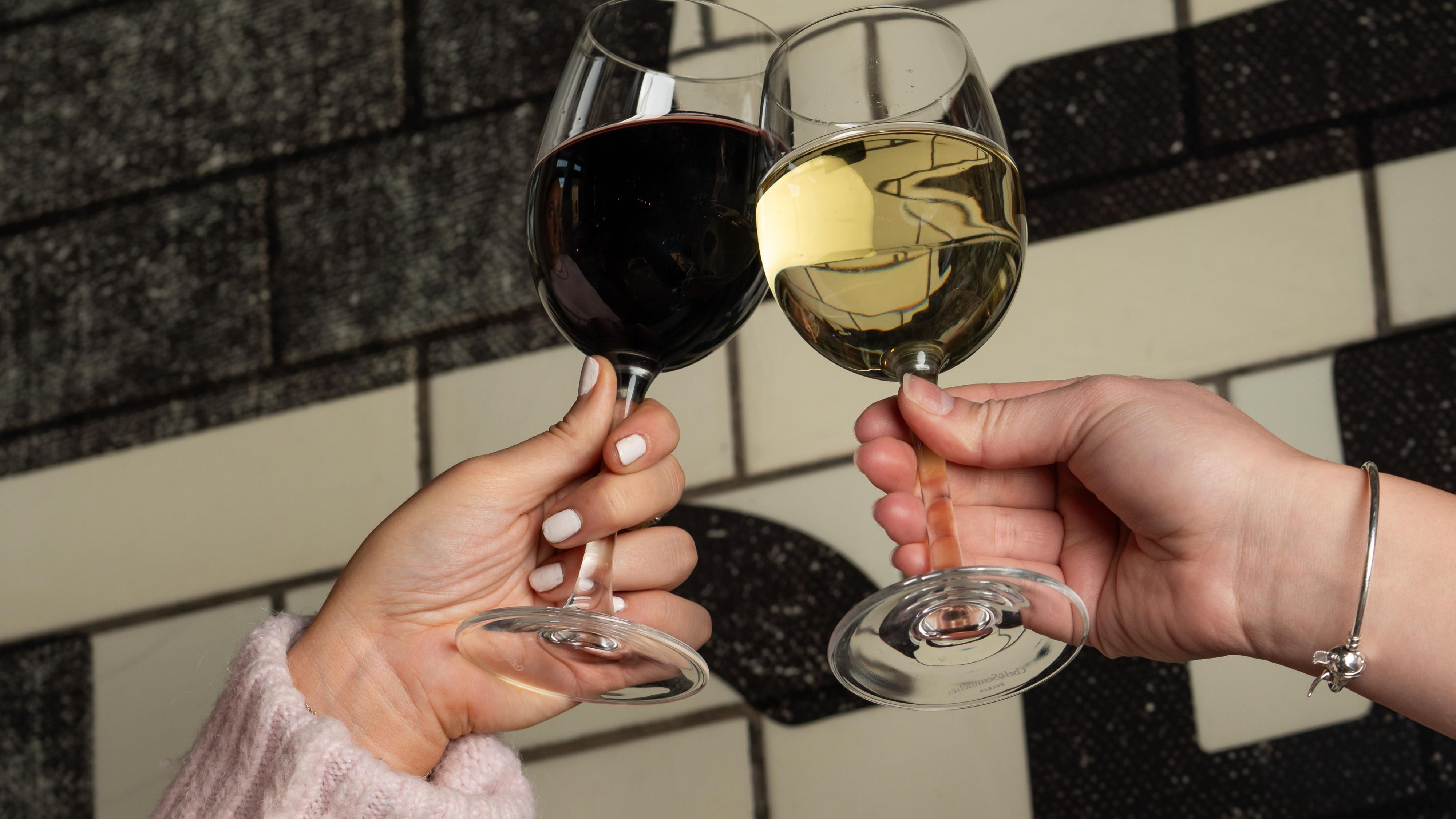 Two guests cheering wine