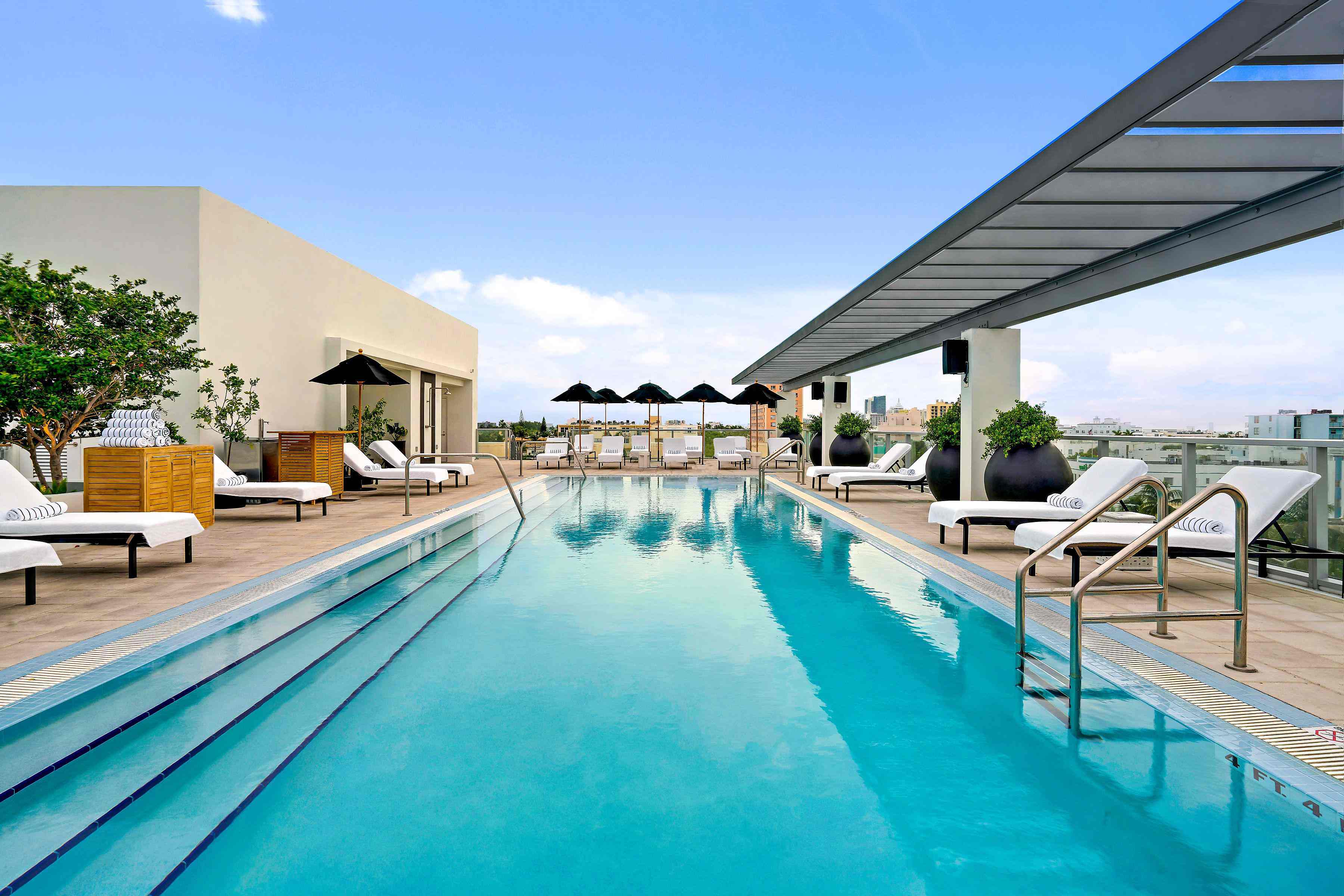 Rooftop Pool and lounge