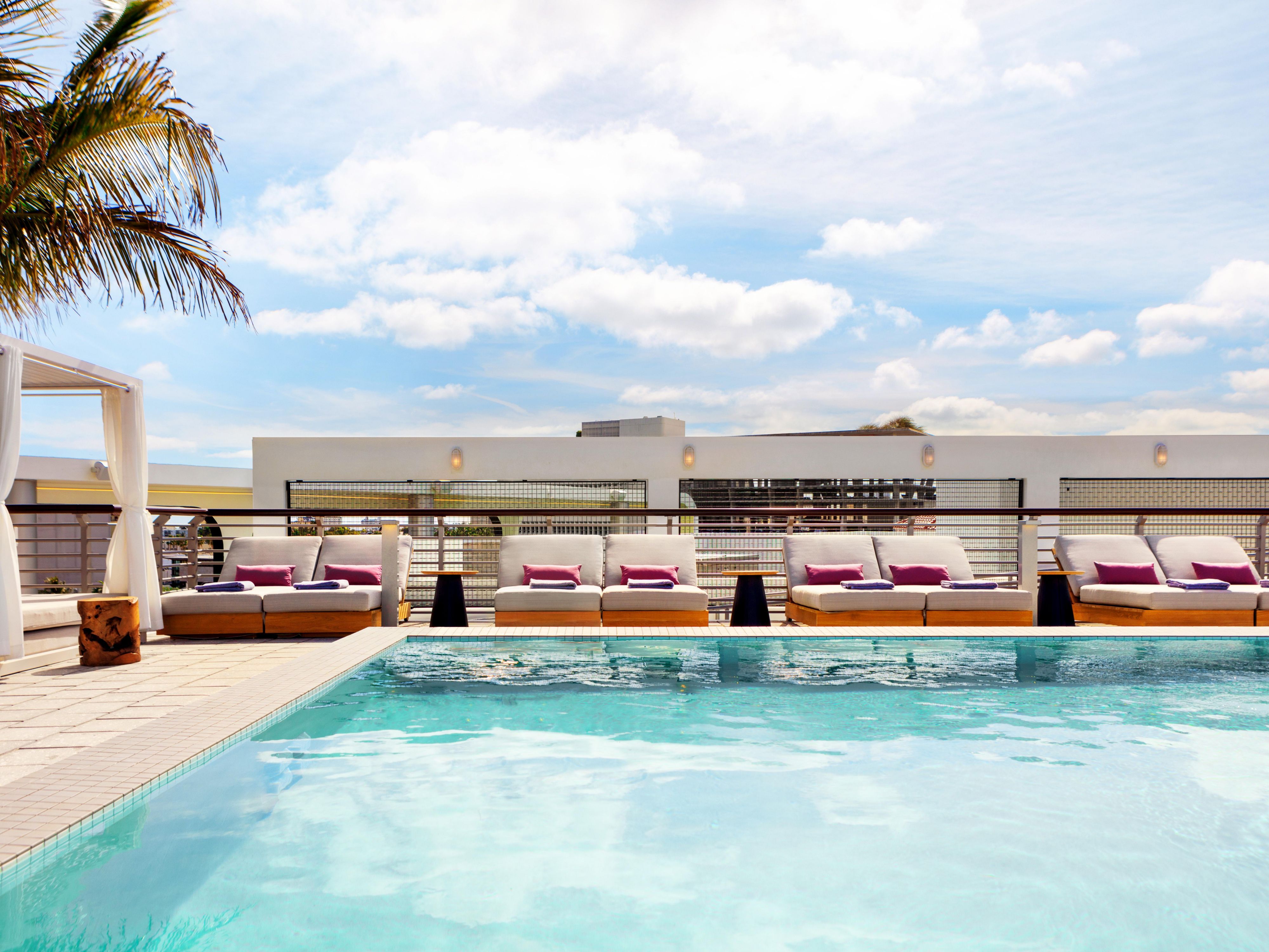Hotel Palomar South Beach hotel pool photo