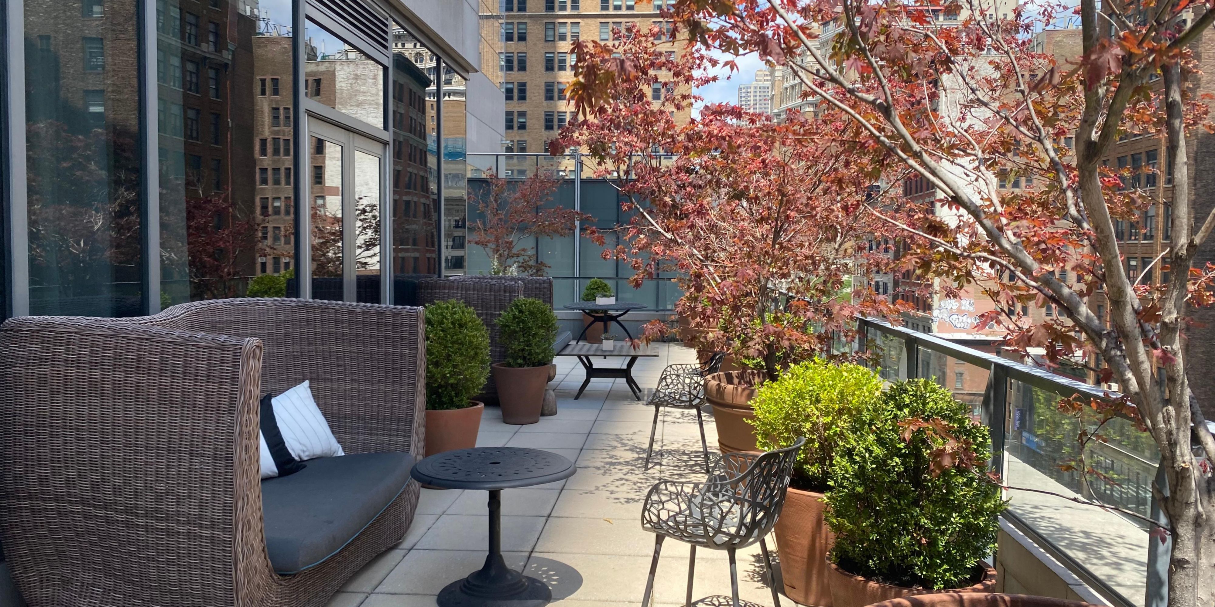 Veranda Suite Terrace