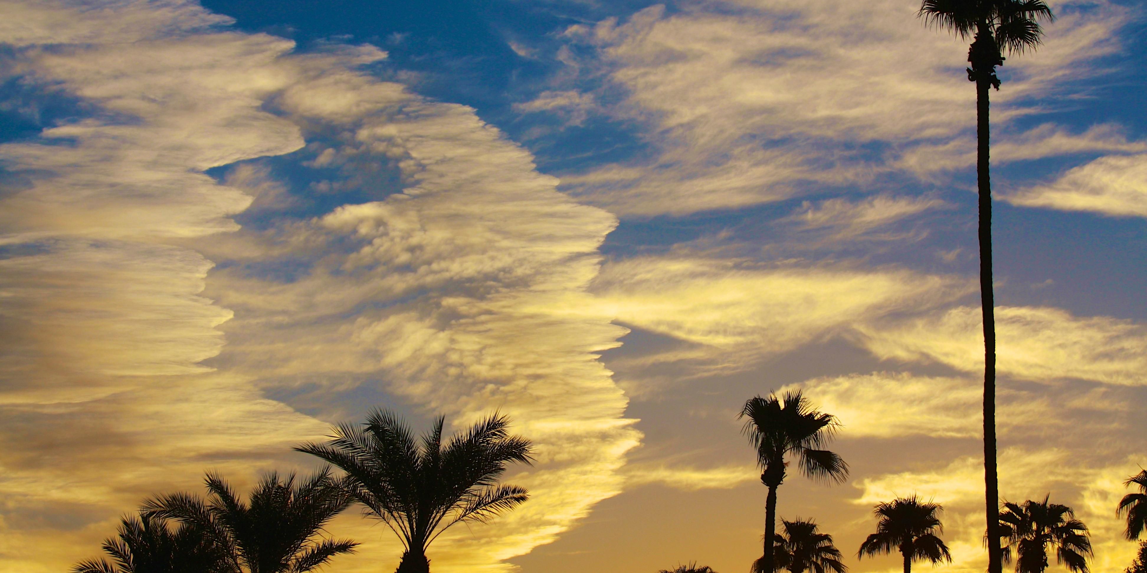 Kimpton Rowan Palm Springs Hotel Kimpton Hotels