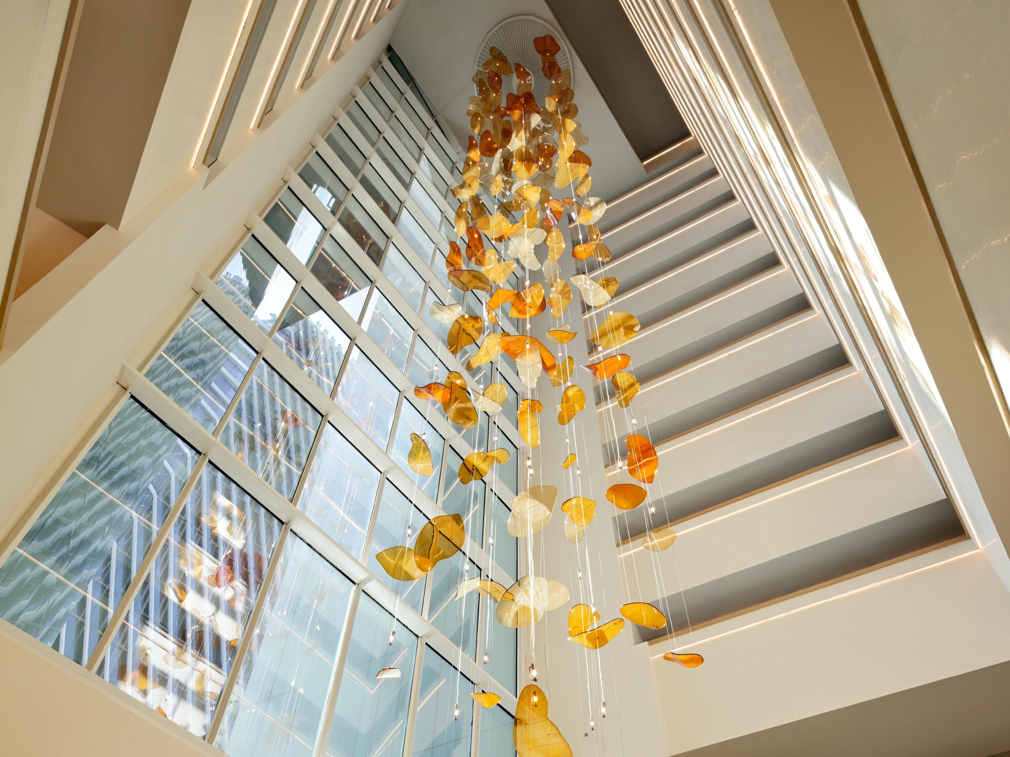Natural Day Light fills the lobby through the Atrium