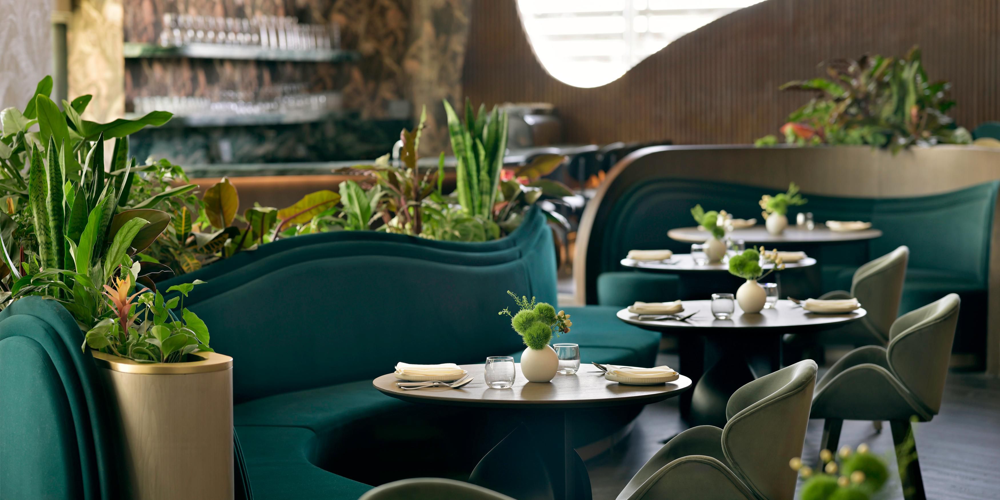 The chefs at Botanica craft dynamic, seasonal menus, expertly blending Riyadh's authentic flavours with global inspirations. Enjoy this culinary journey in a vibrant setting, with enviable views, whether for afternoon tea or evening dining.