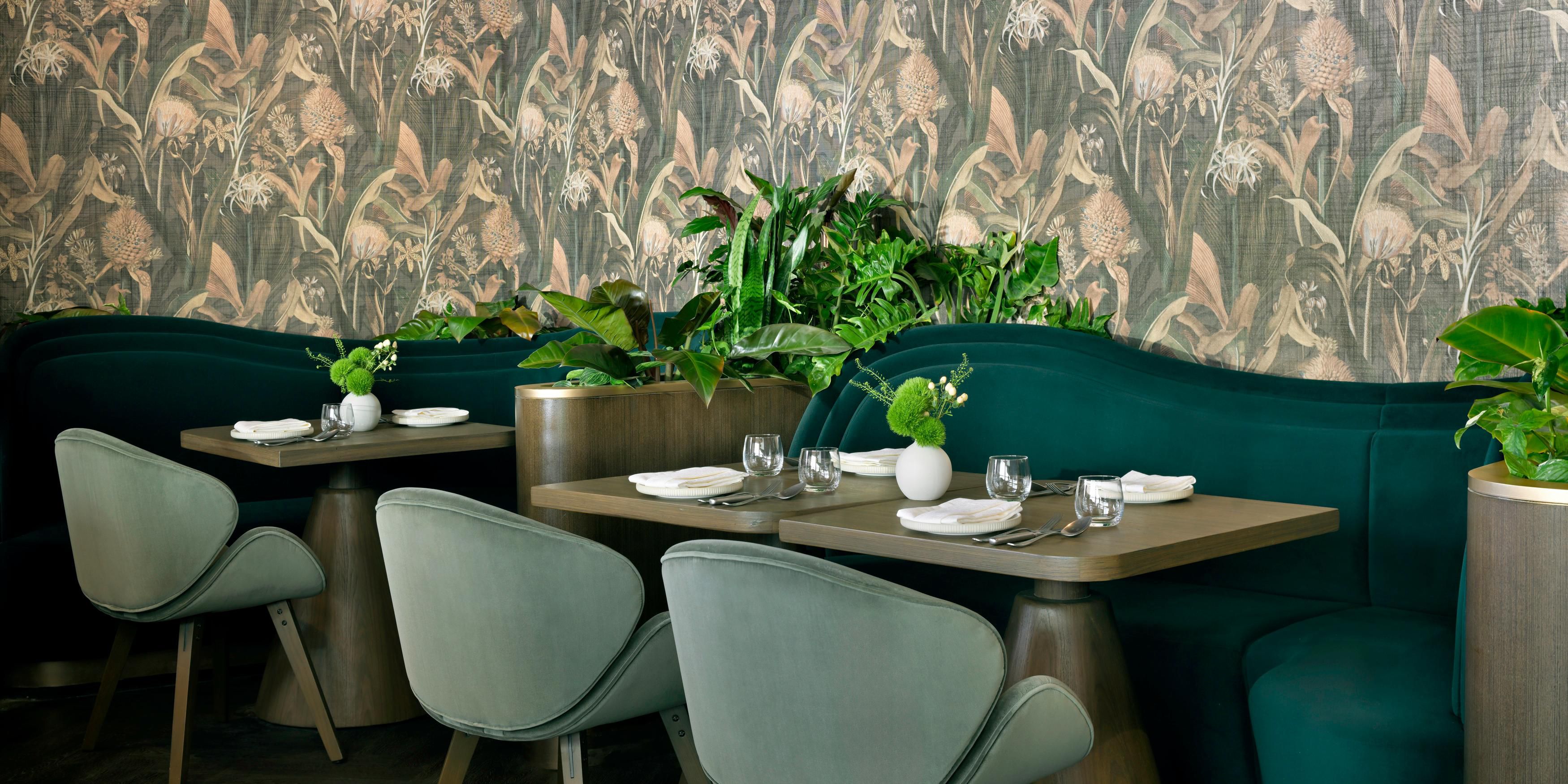 اختبر أسلوب الحياة العصري في الرياض داخل بوتانيكا، مطعم يتميّز بأجوائه المتجددة وقائمته الموسمية المستوحاة من أشهر المطابخ العالمية. استمتع بأطباق مبتكرة، مشروبات نباتية، جدار الأعشاب العطرية، وعروض موسيقية يقدمها منسقو الأغاني خلال ساعات الأبيريتيفو.