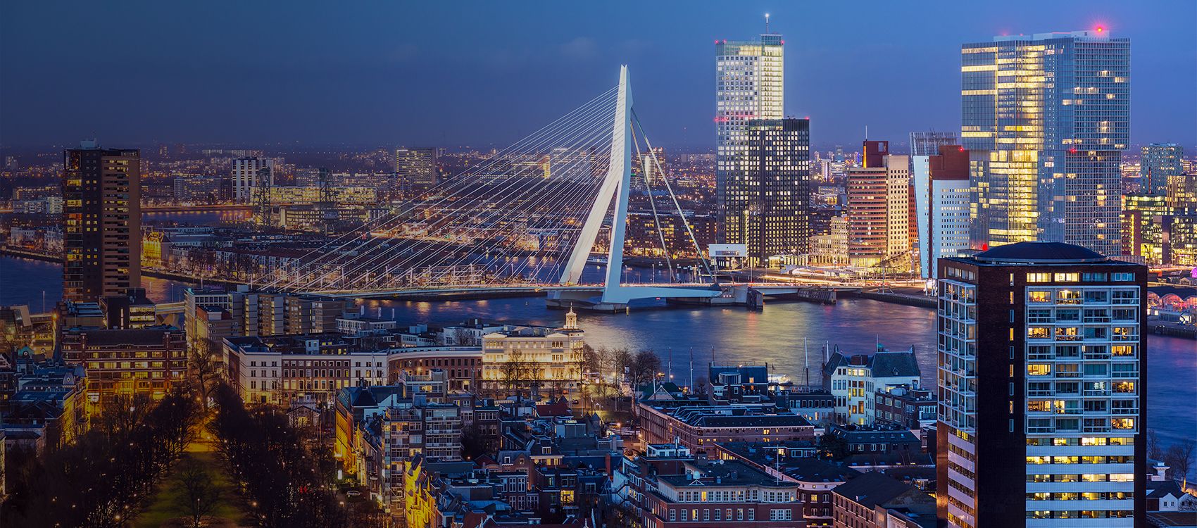 Rotterdam skyline and Erasmus bridge
