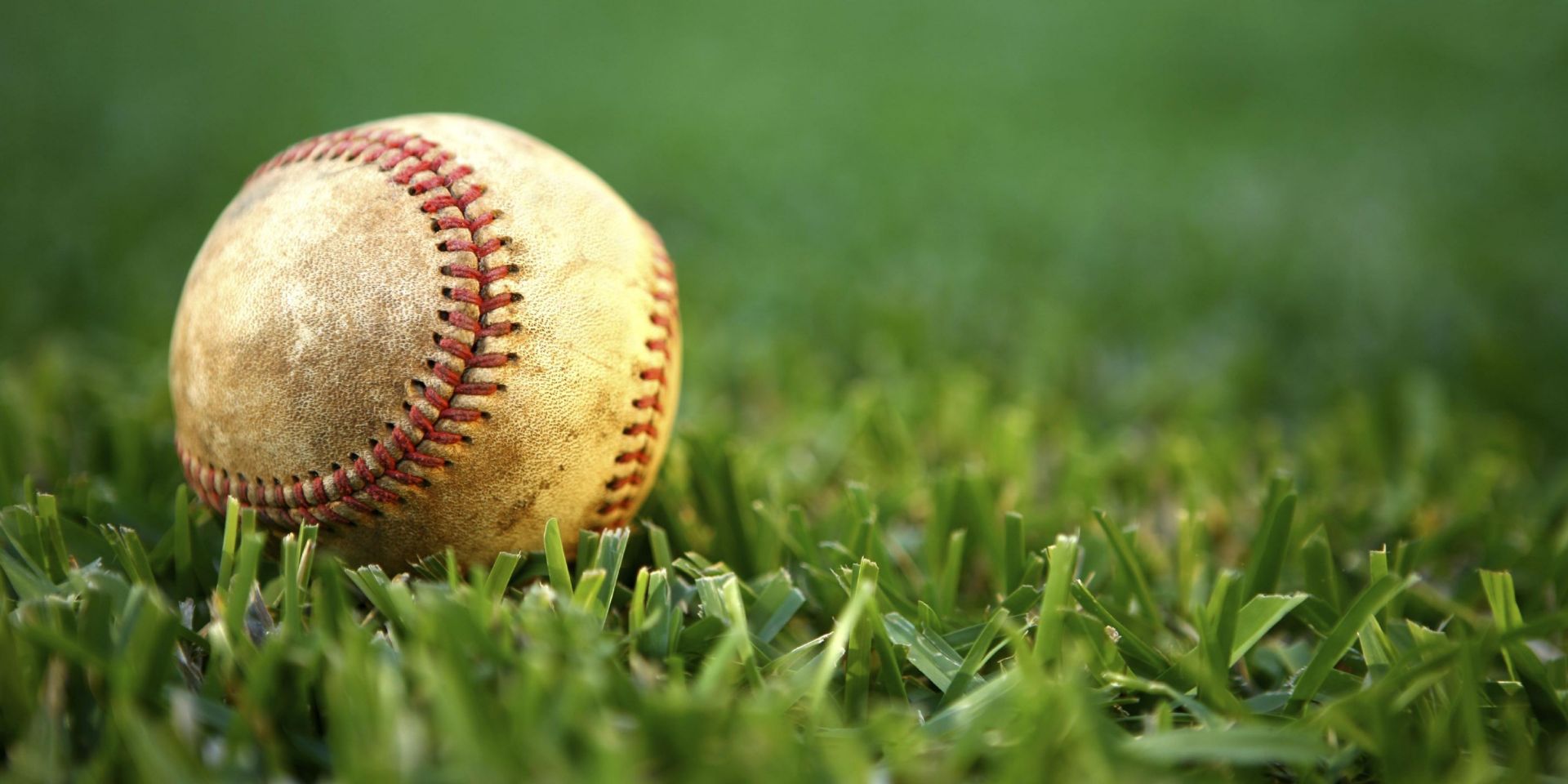 baseball on grass
