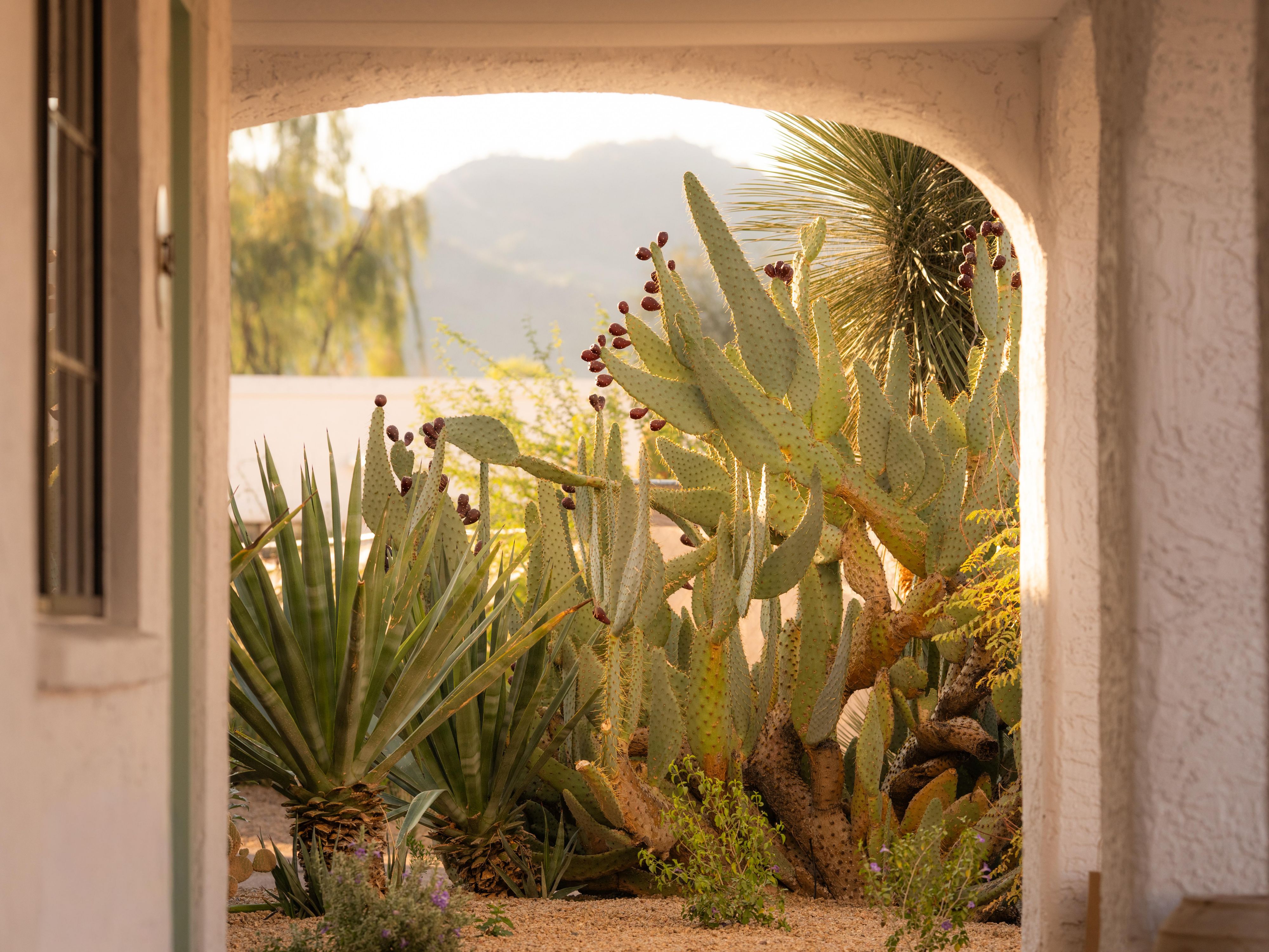 Tucked in Paradise Valley, with Scottsdale at its doorstep