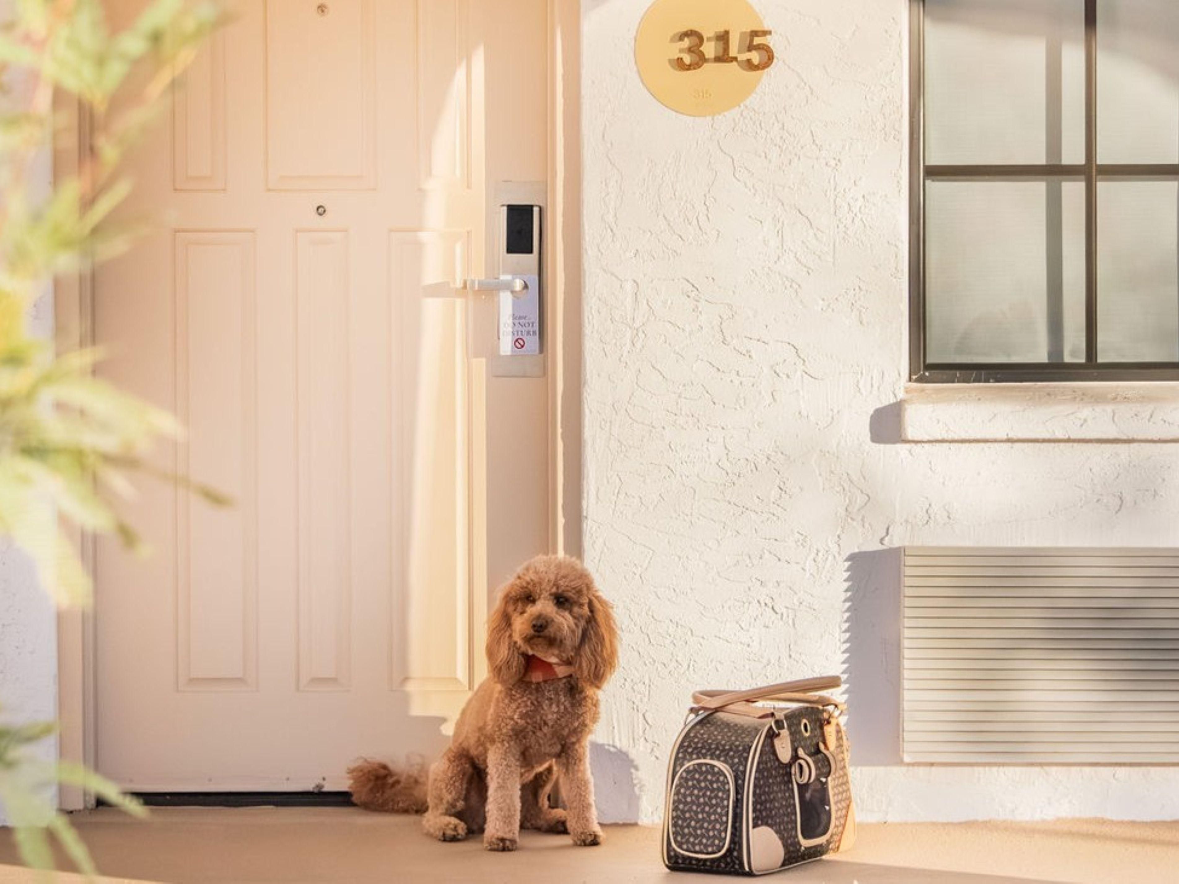 No additional charge for pets, no deposit required.