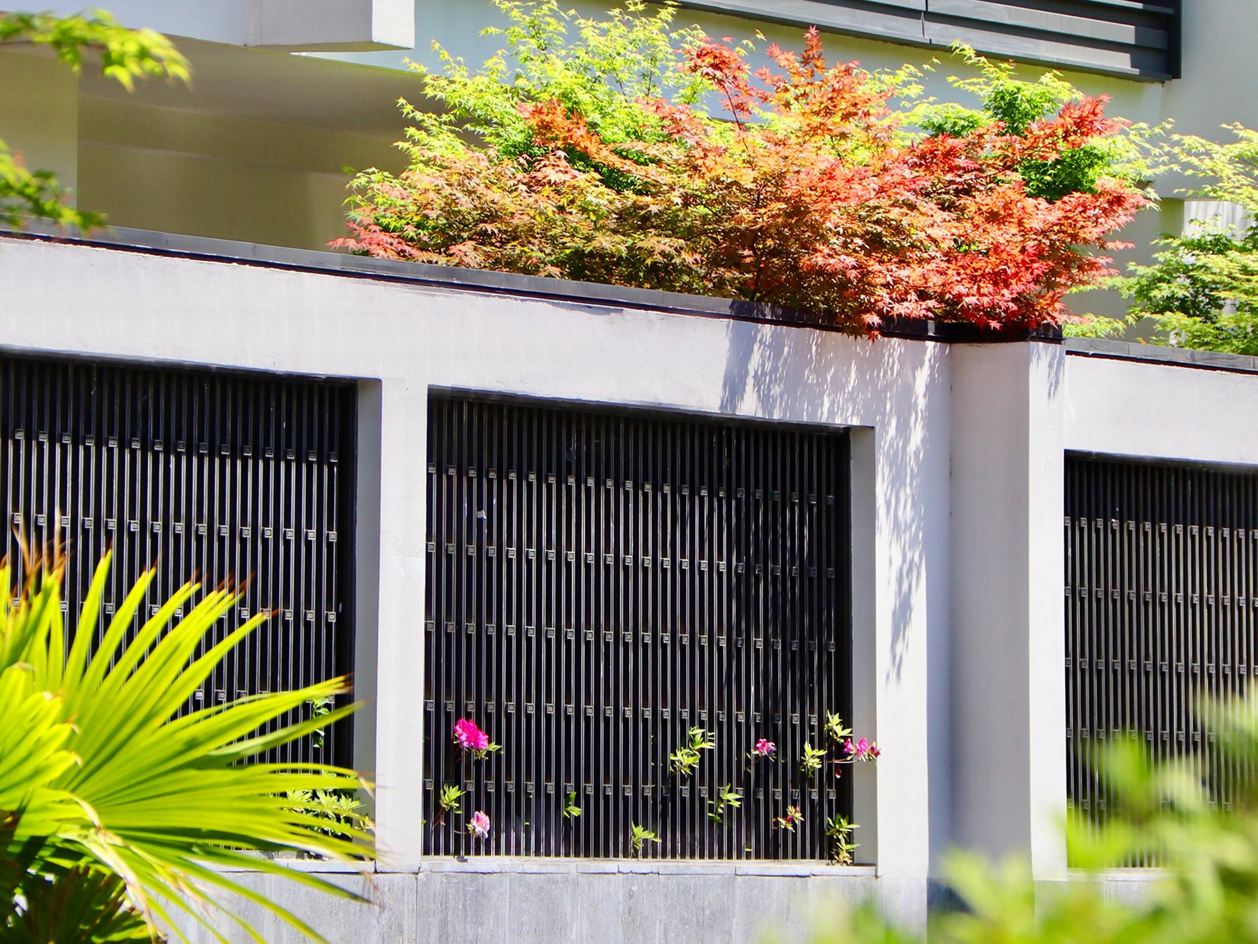 Enjoy the beauty of red and green maples in guestrooms